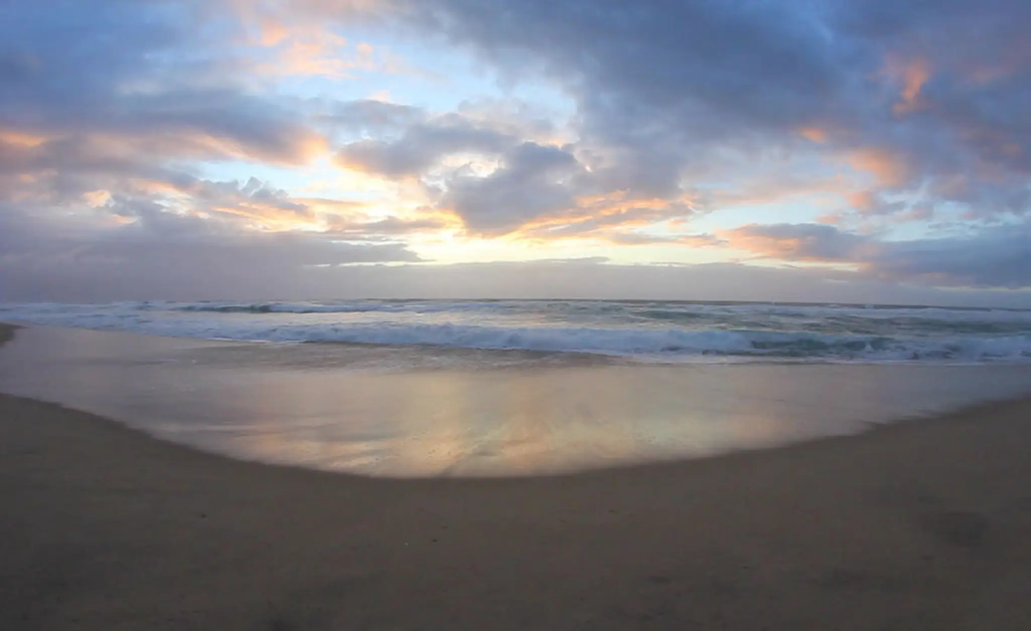 Dwindle's Dream Fishing Charters