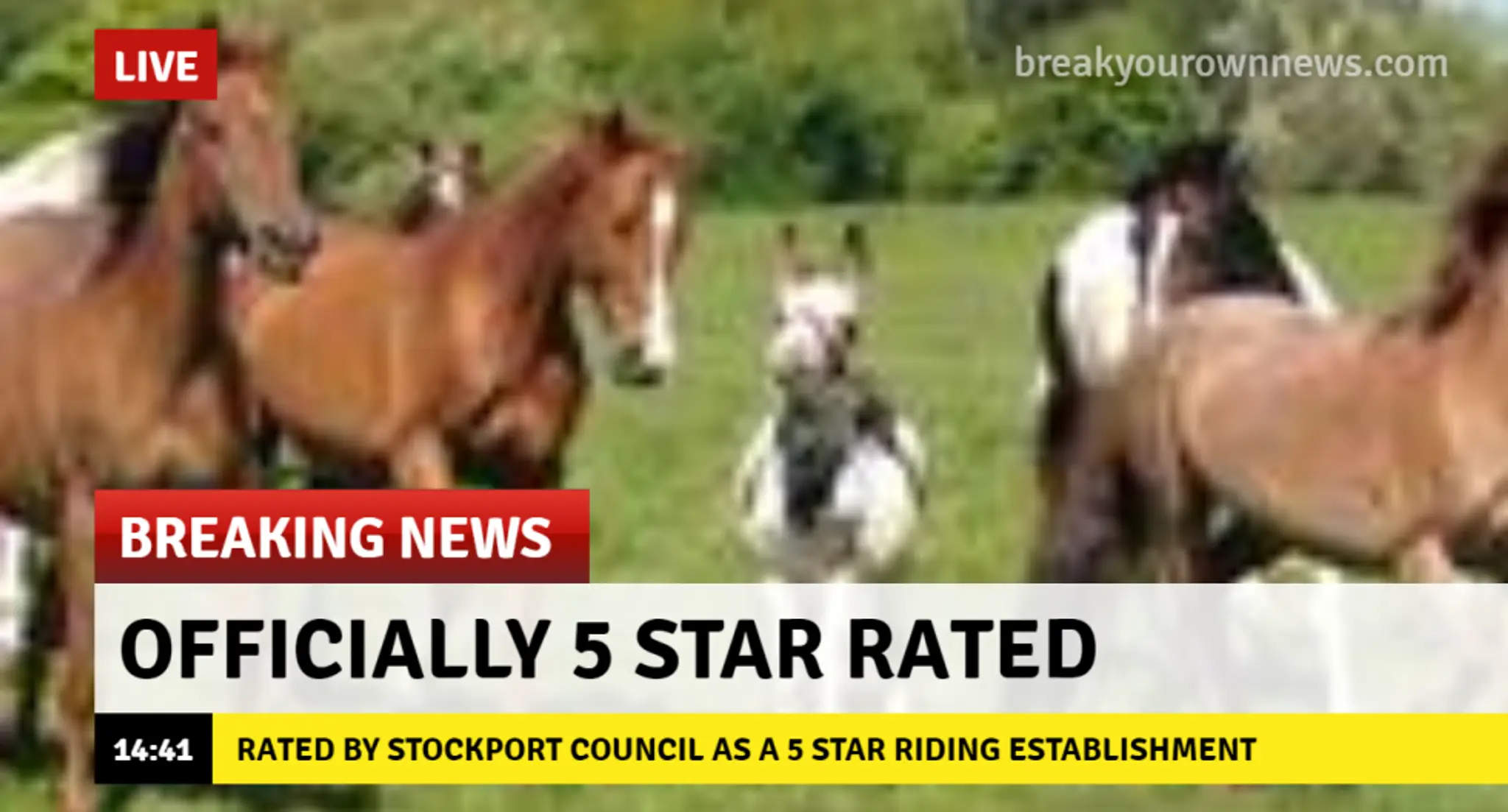 Millfarm Riding School