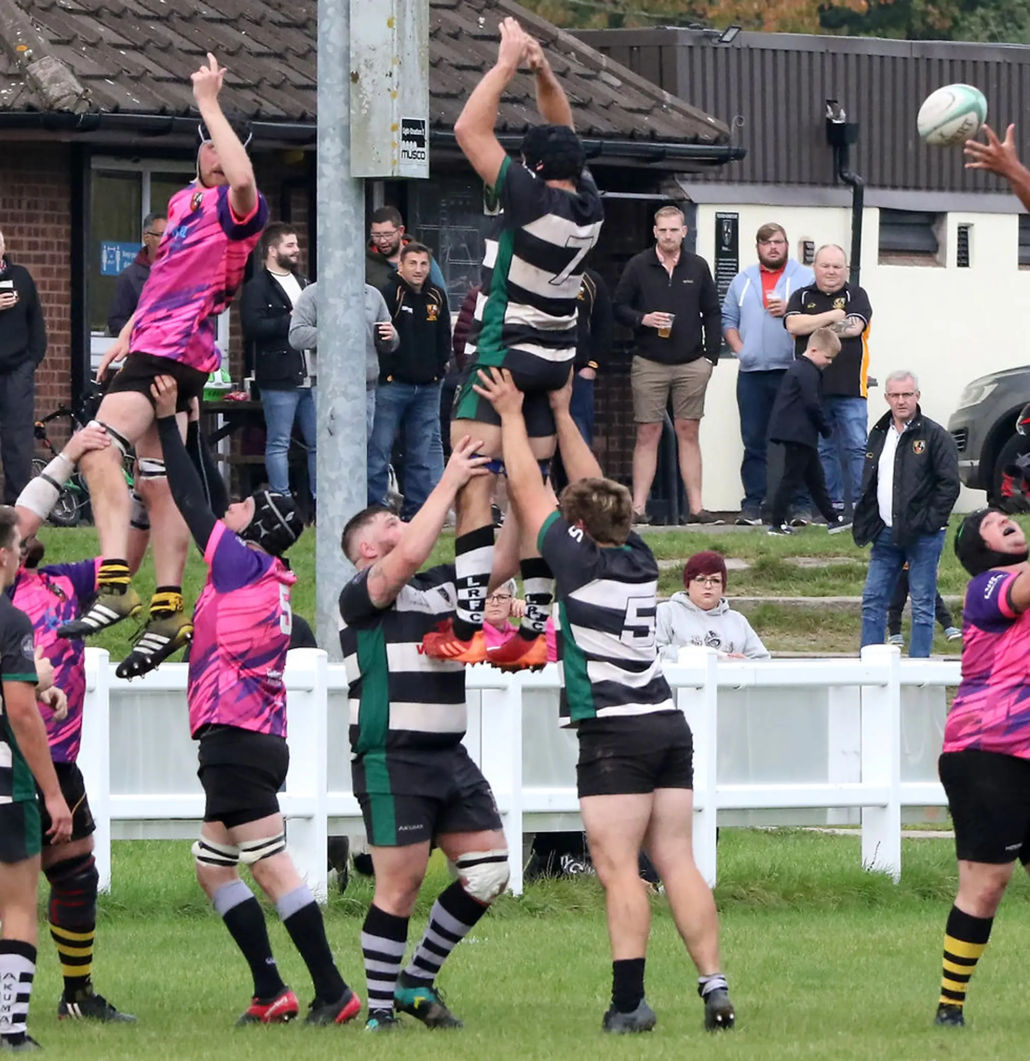 Telford Hornets Rugby Club RFC
