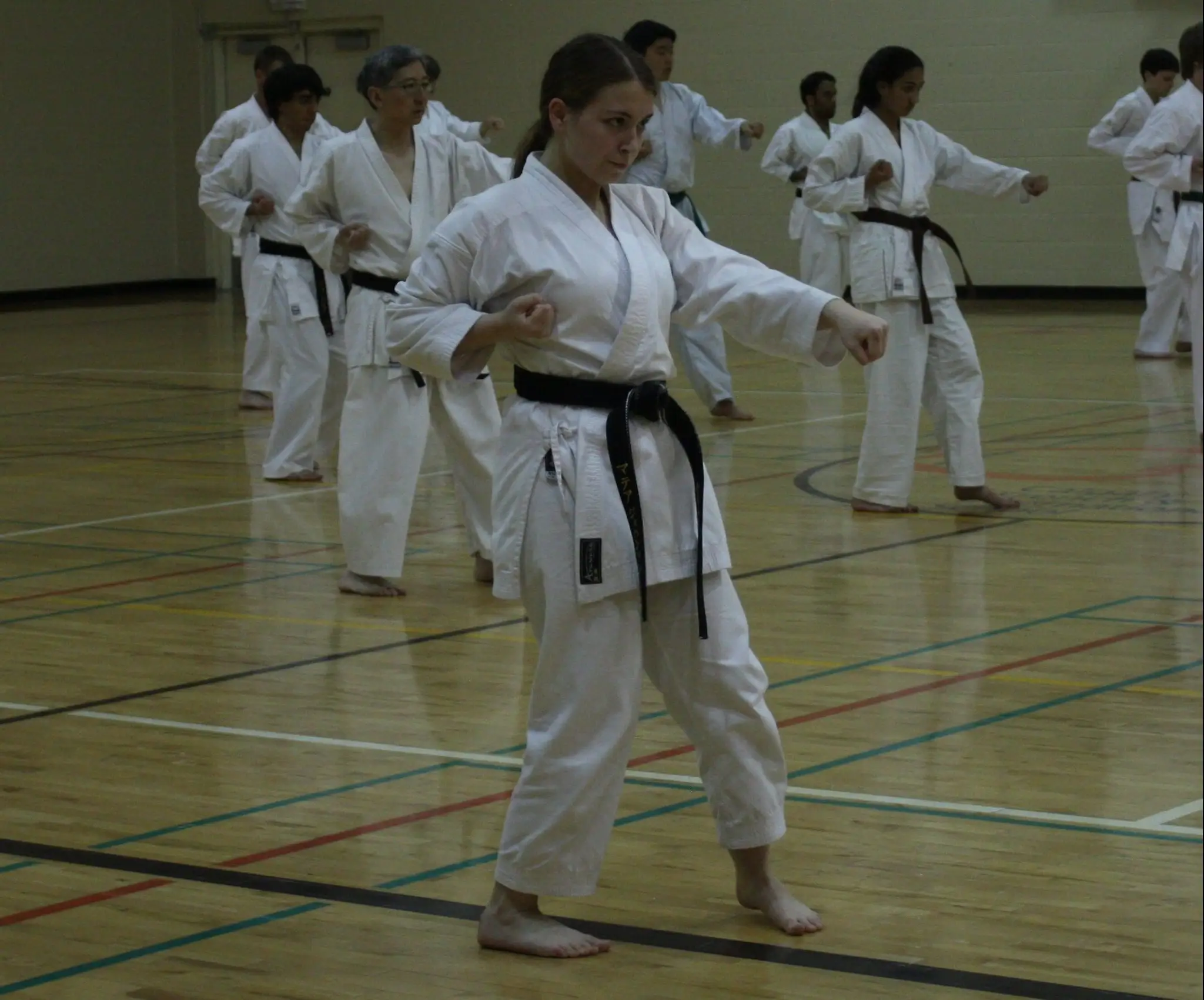 Seiwa Kai Karate