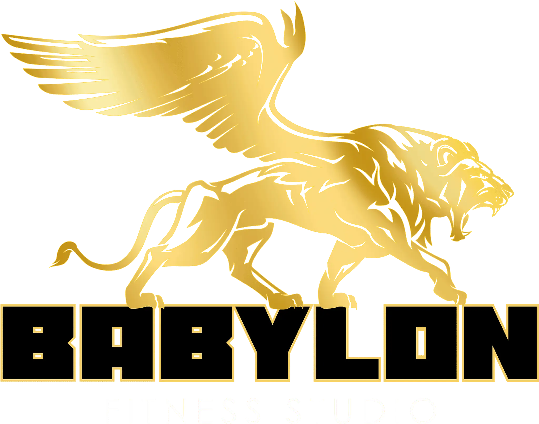Babylon Fitness Studio