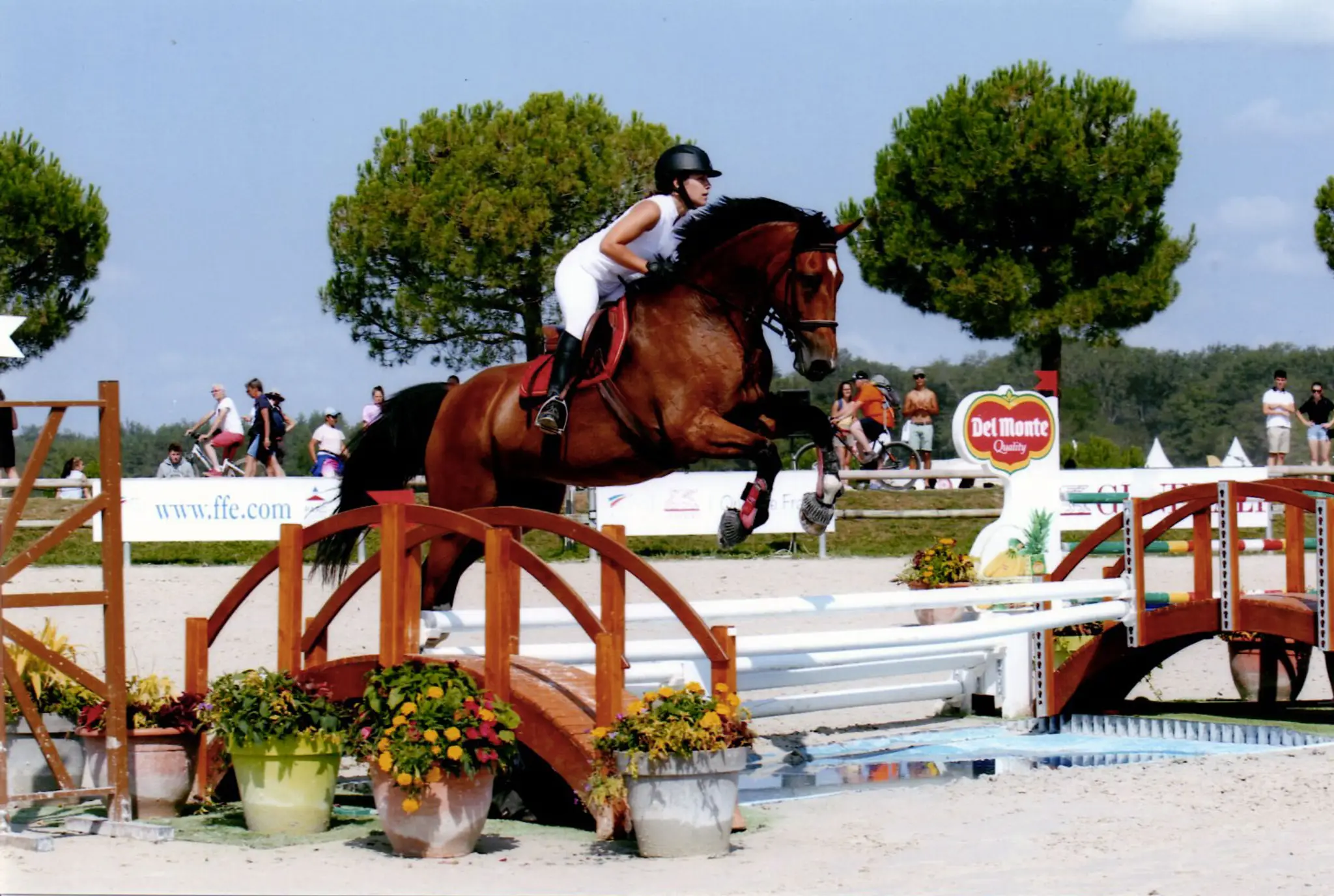 U.n.p.c.s. Union Nationale Des Propriétaires De Chevaux De Selle