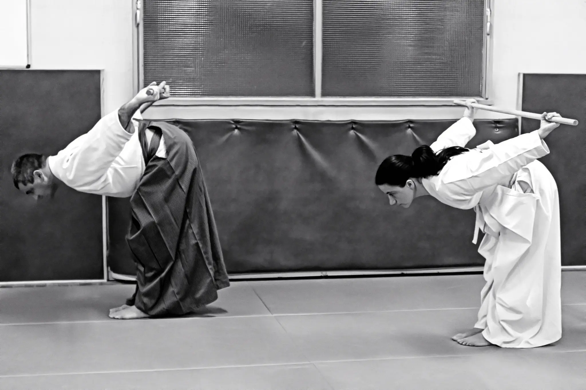 Academy Chambéry D'aikishintaiso