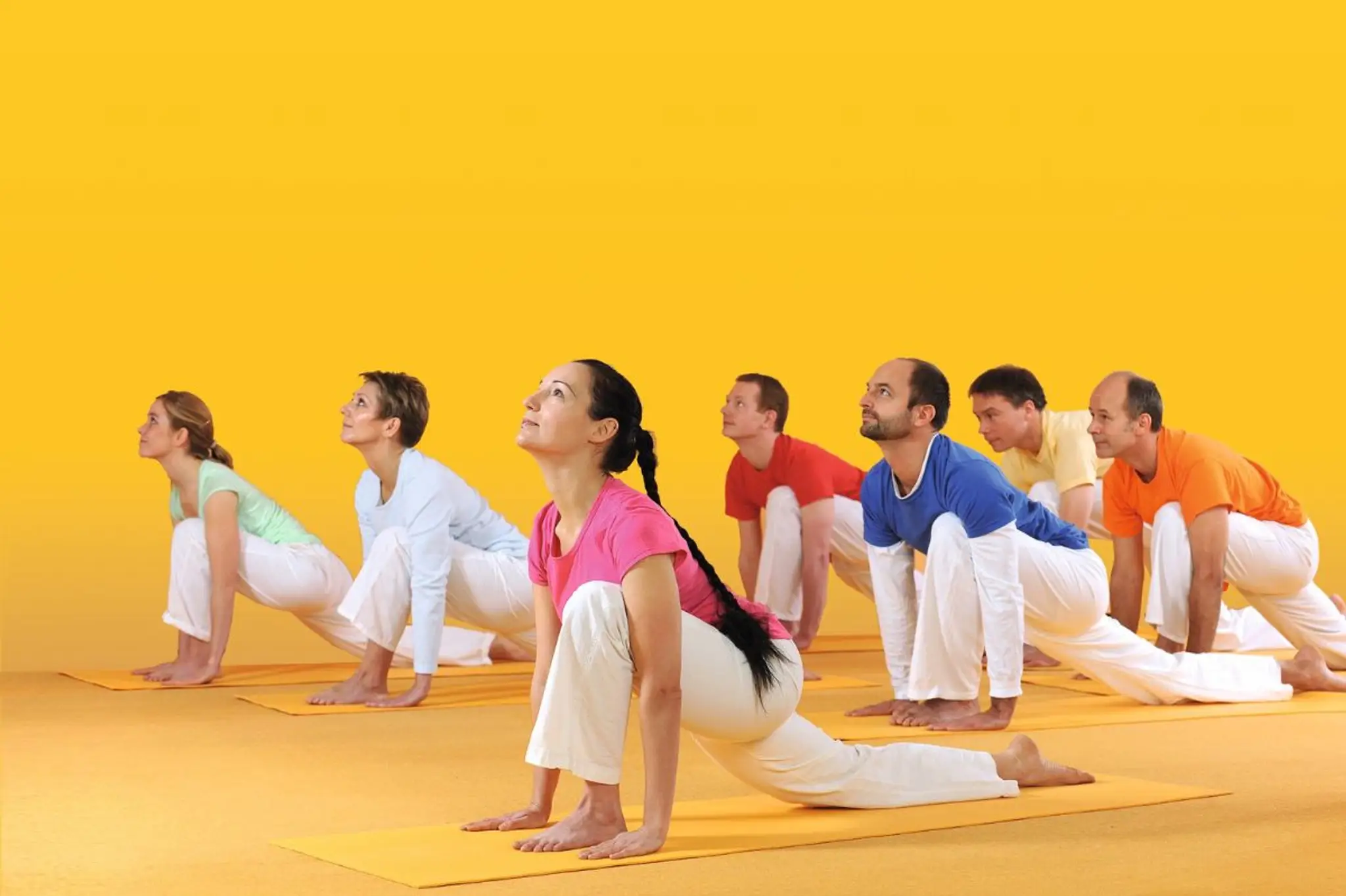 Sivananda Yoga Centre Montreal