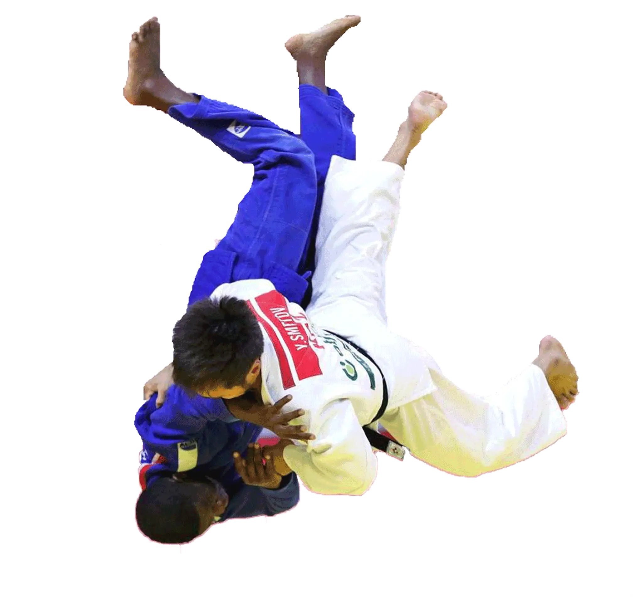 Hayabusakan Judo Club