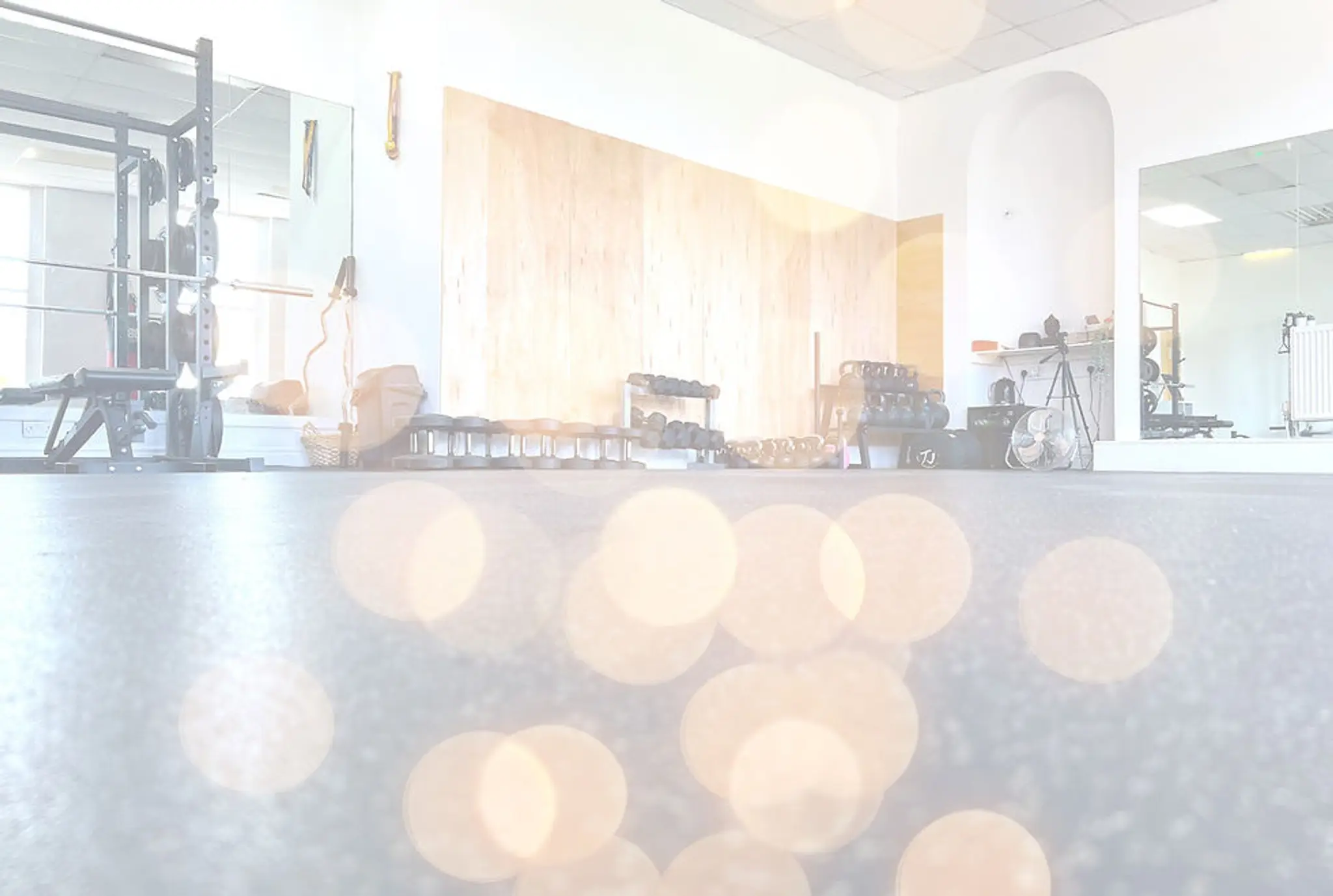 Synergy Strength Studio - Private Training Gym