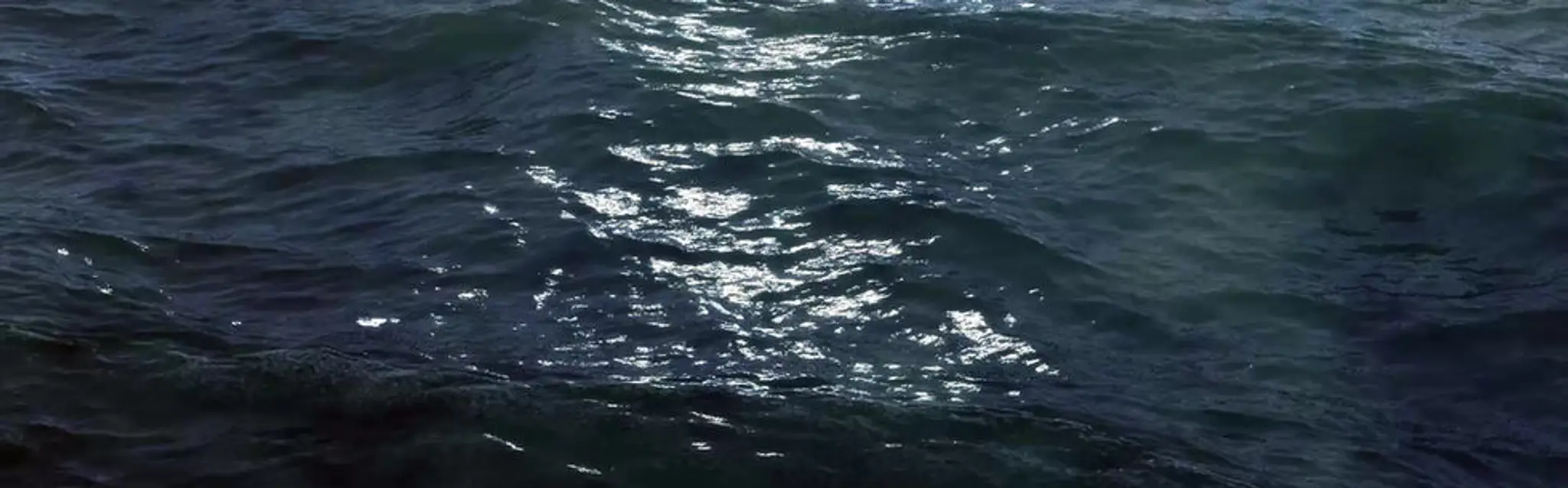 Productions Martin-Pcheur