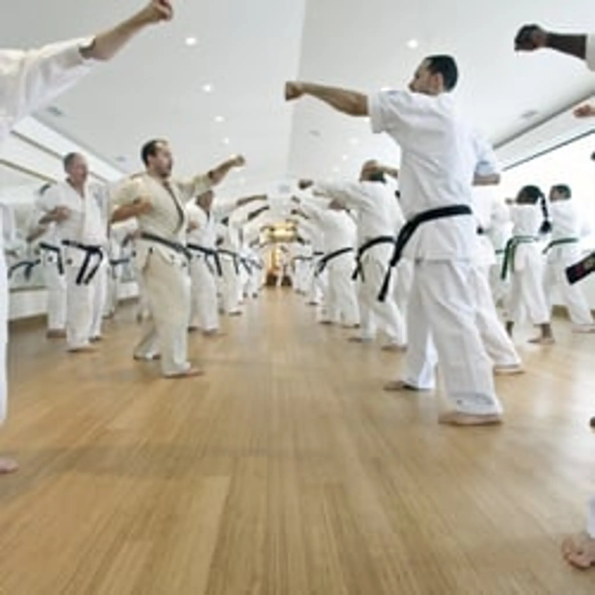 Seido Sunnybank Karate