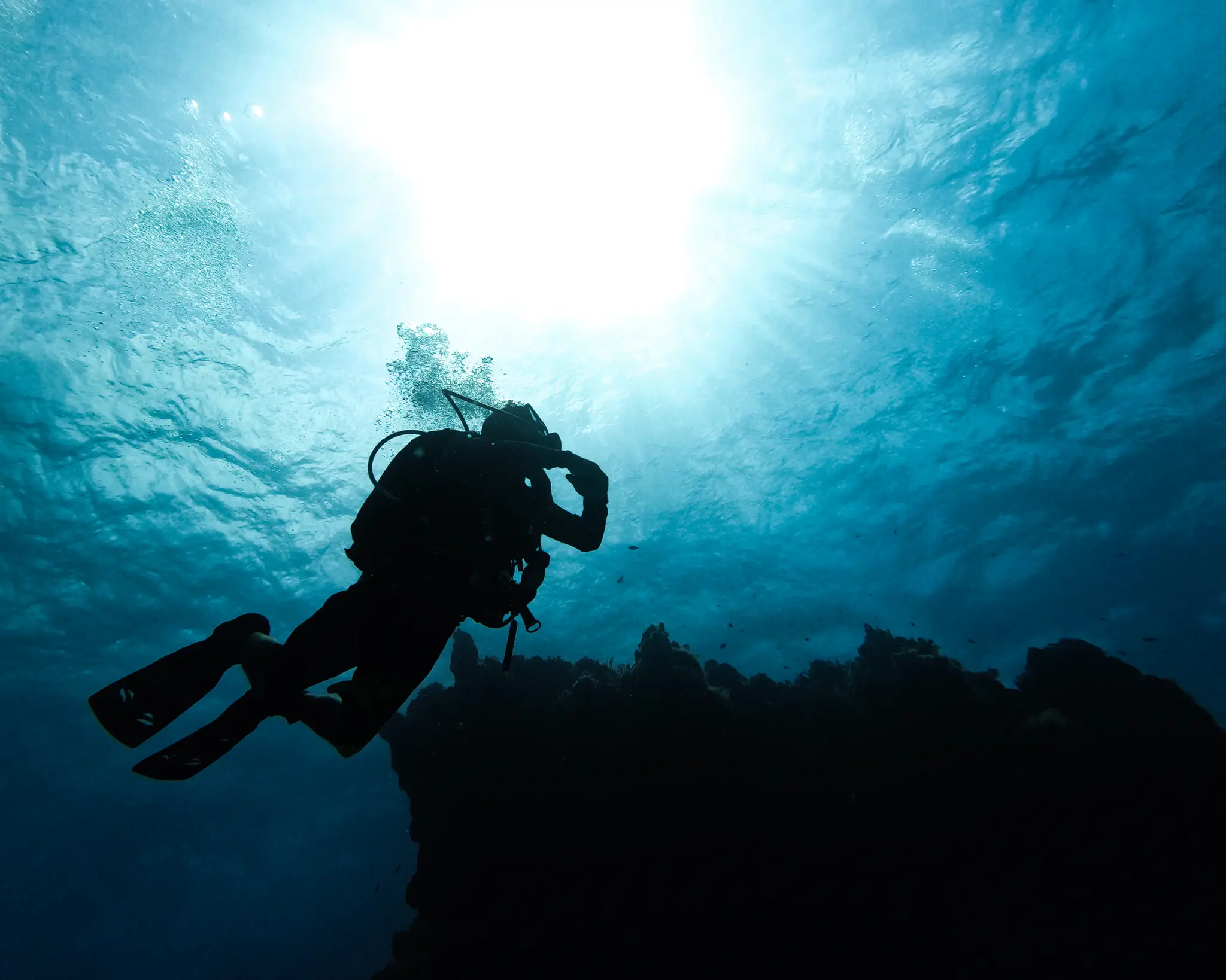 Double Arrow Dive Company