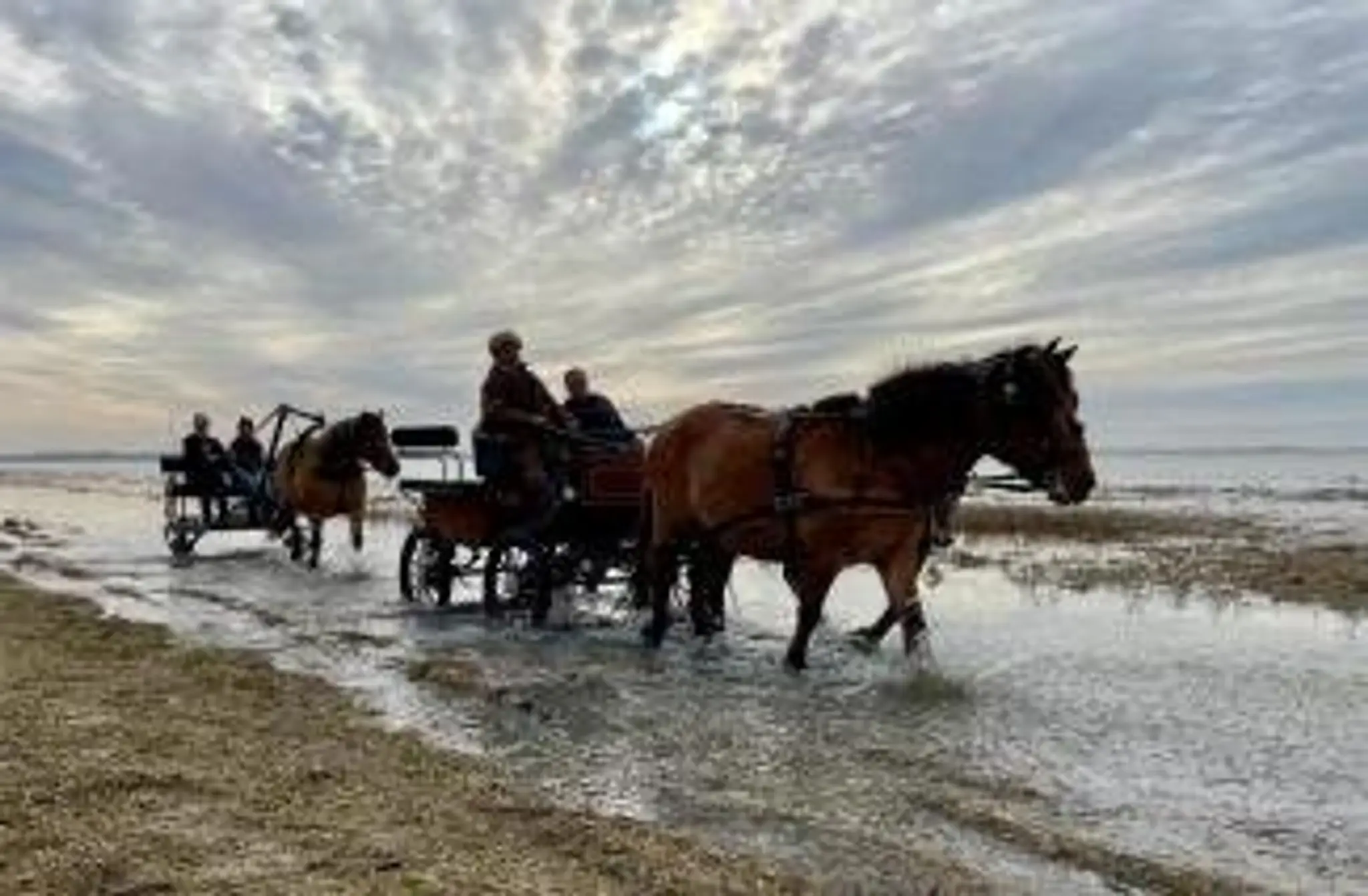 Les centaures de la baie de Somme