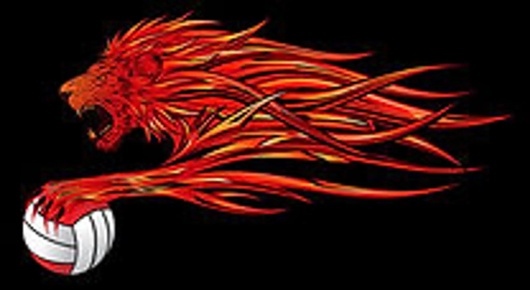 Singapore Netball Club