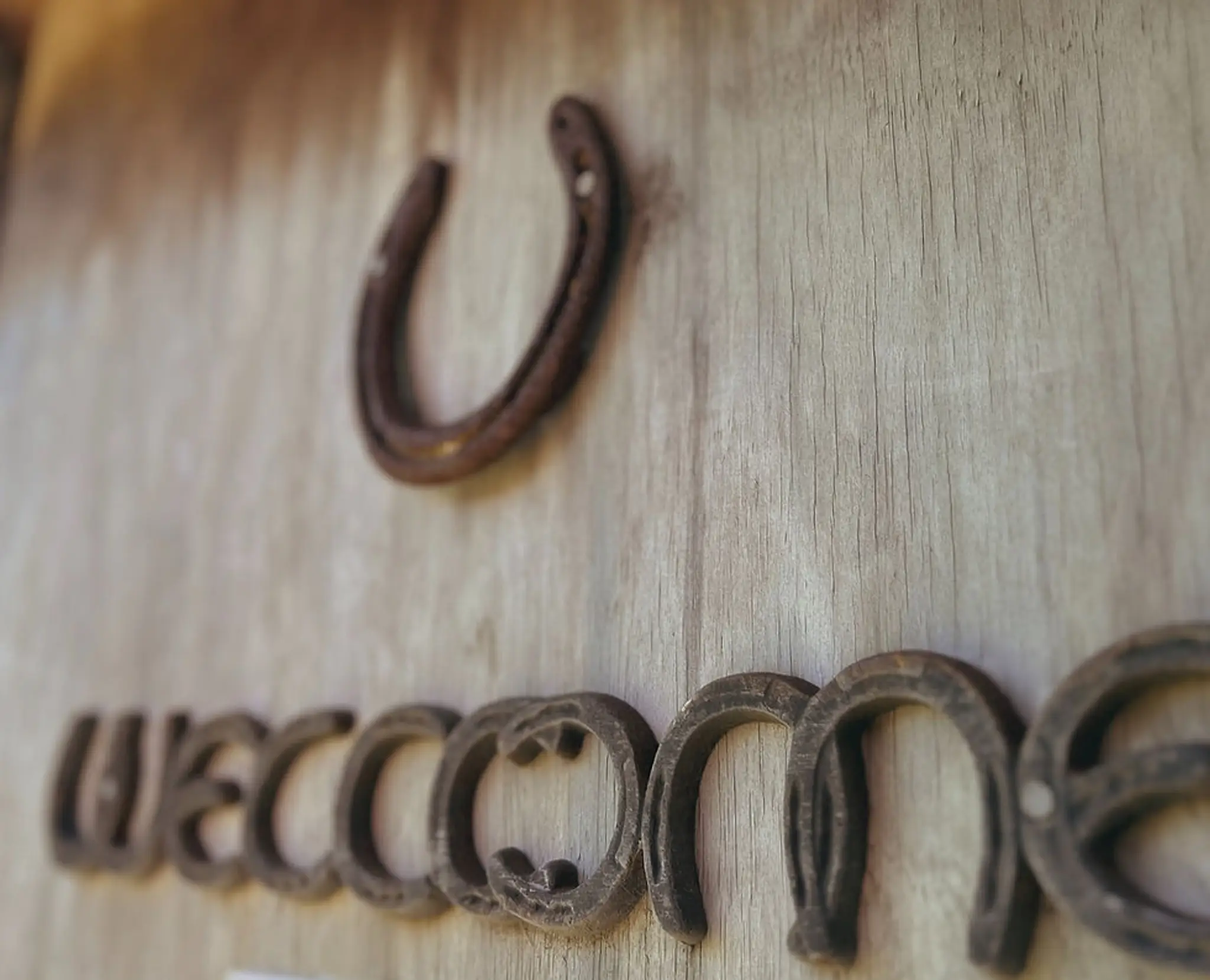 Trinity Valley Pyes Pa