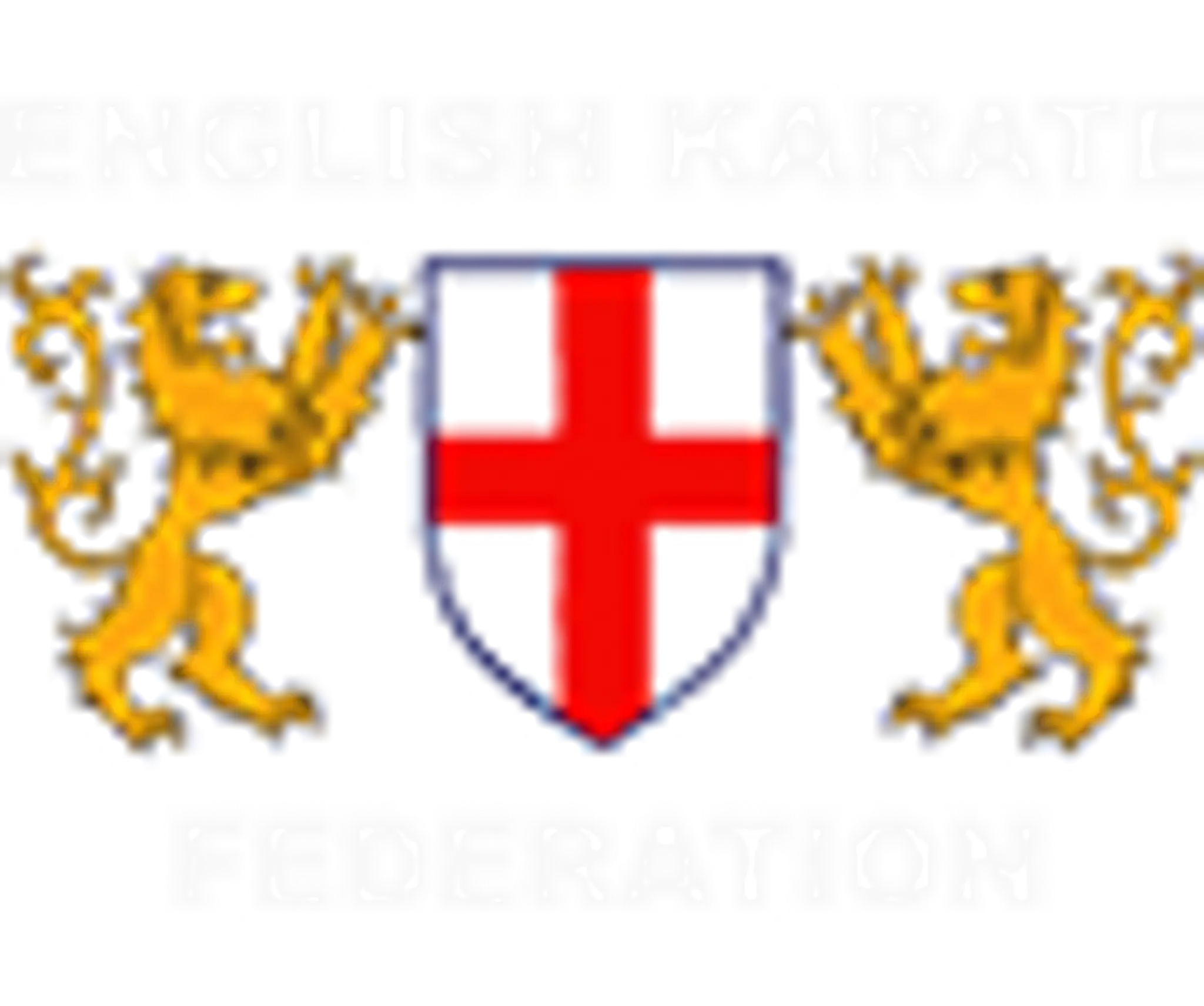 Abingdon Didcot Martial Arts Shotokan Karate Clubs.