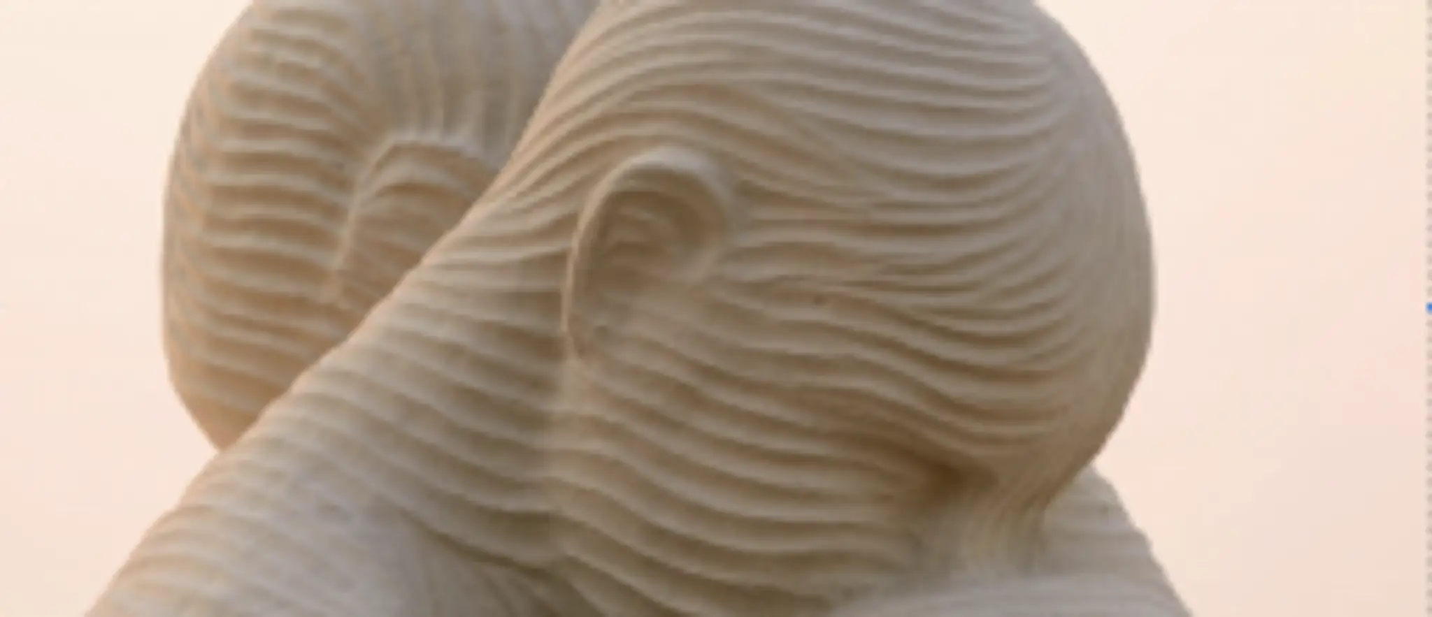 Des Racines et du Sens Coaching