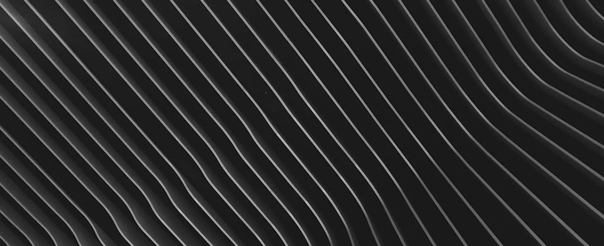 Fitness for the Future