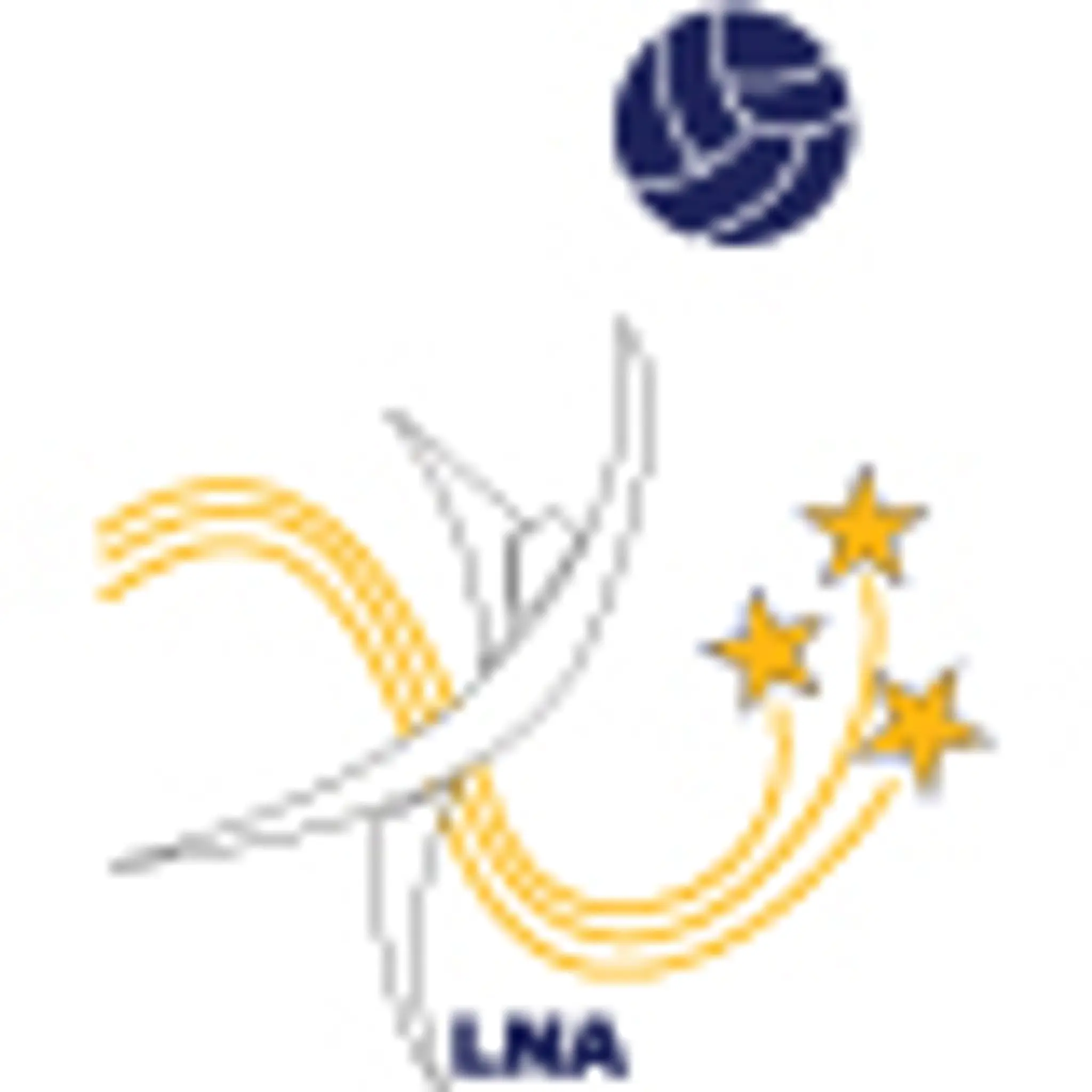 Leschenault Netball Association