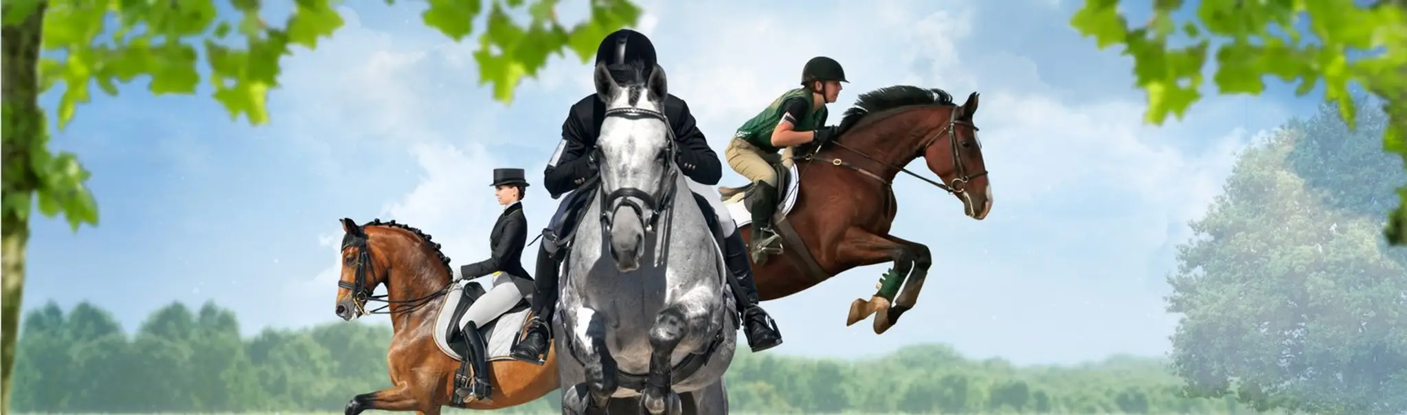 Compétition Equestre Vendée