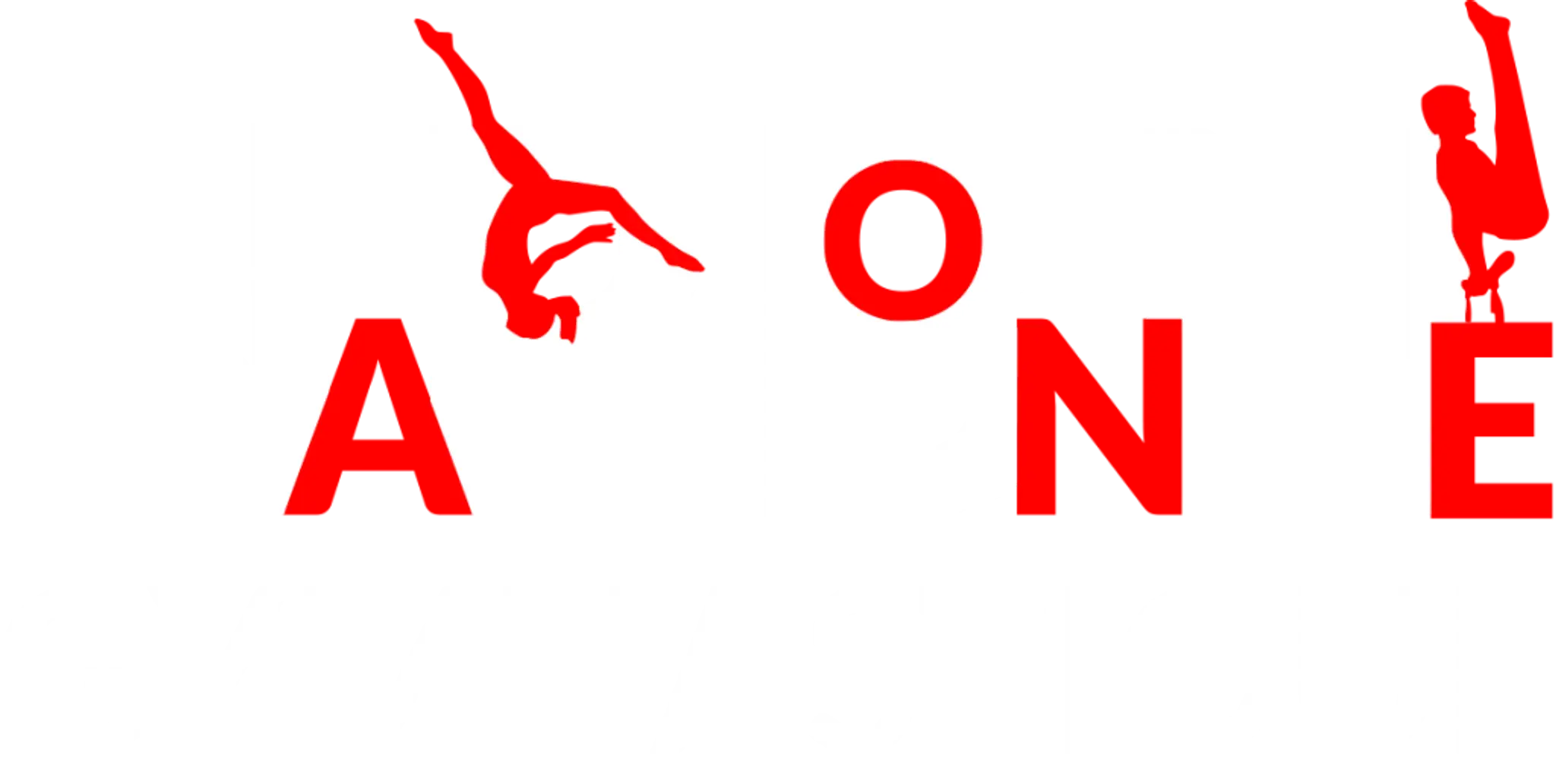 Agnm Activities Gymnastics Narbonne Méditerranée