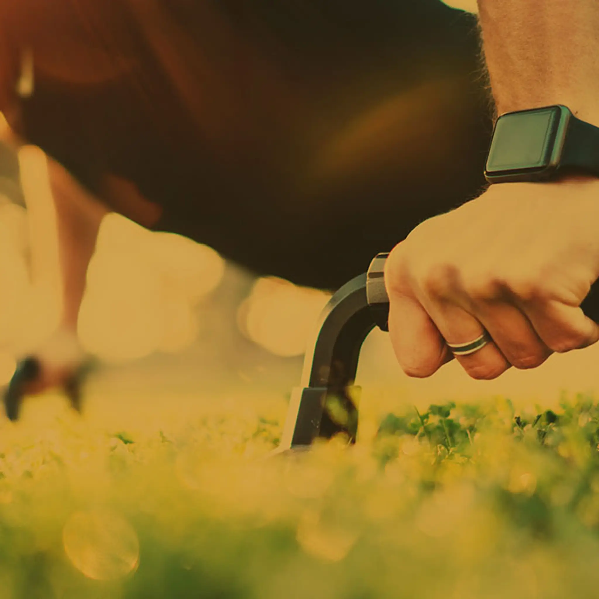 RISE Fitness Bootcamp and Personal Training