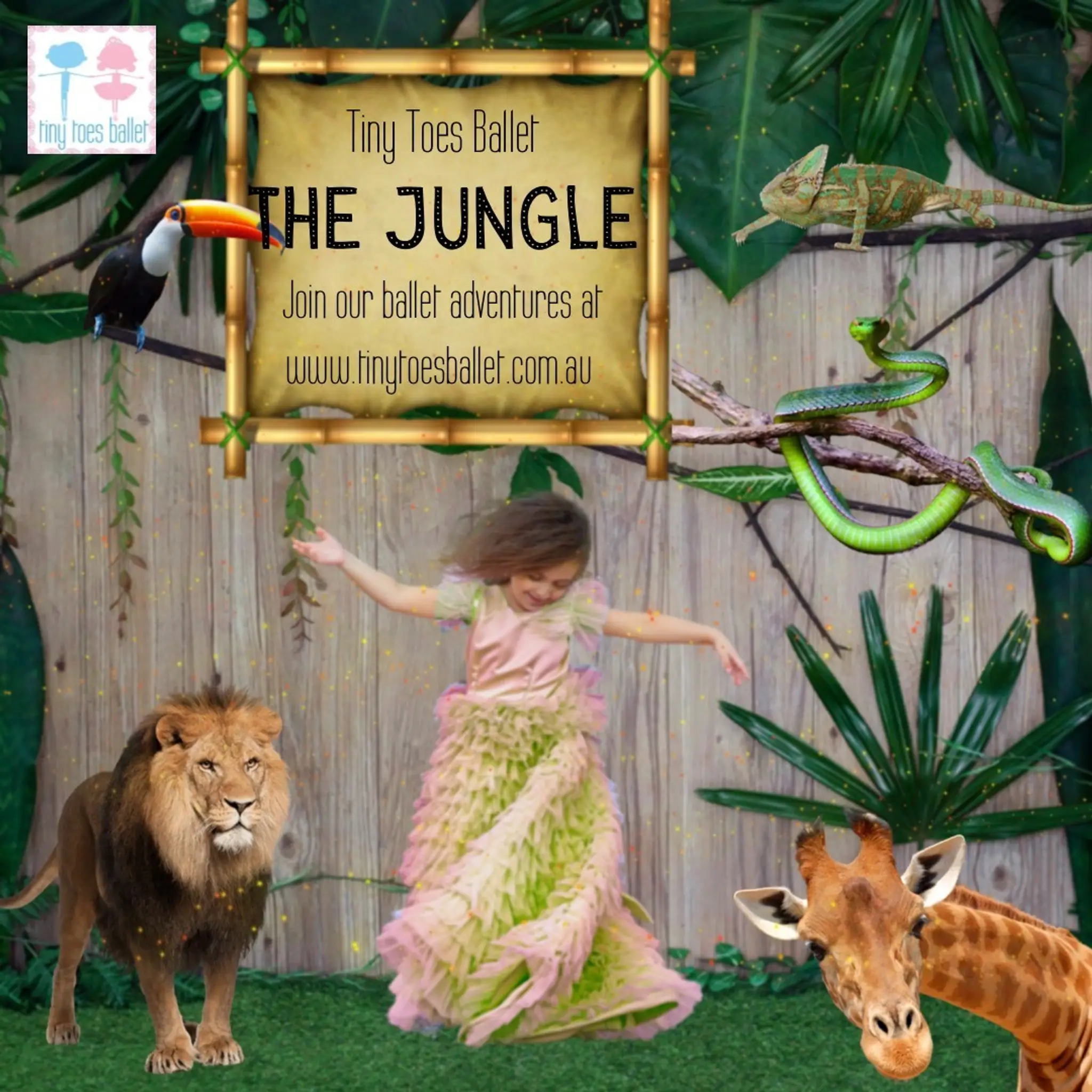 Tiny Toes Ballet Concord