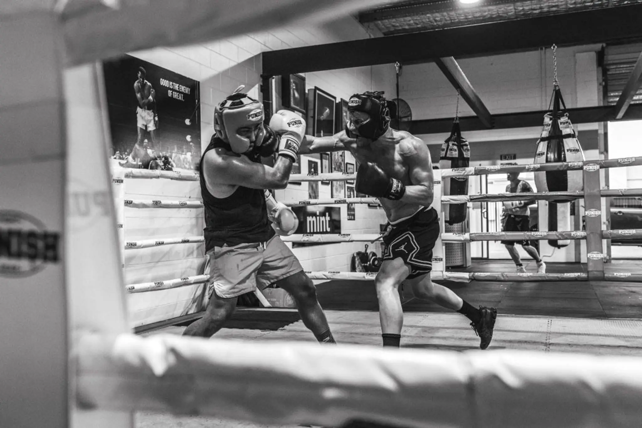 Platinum Boxing Club