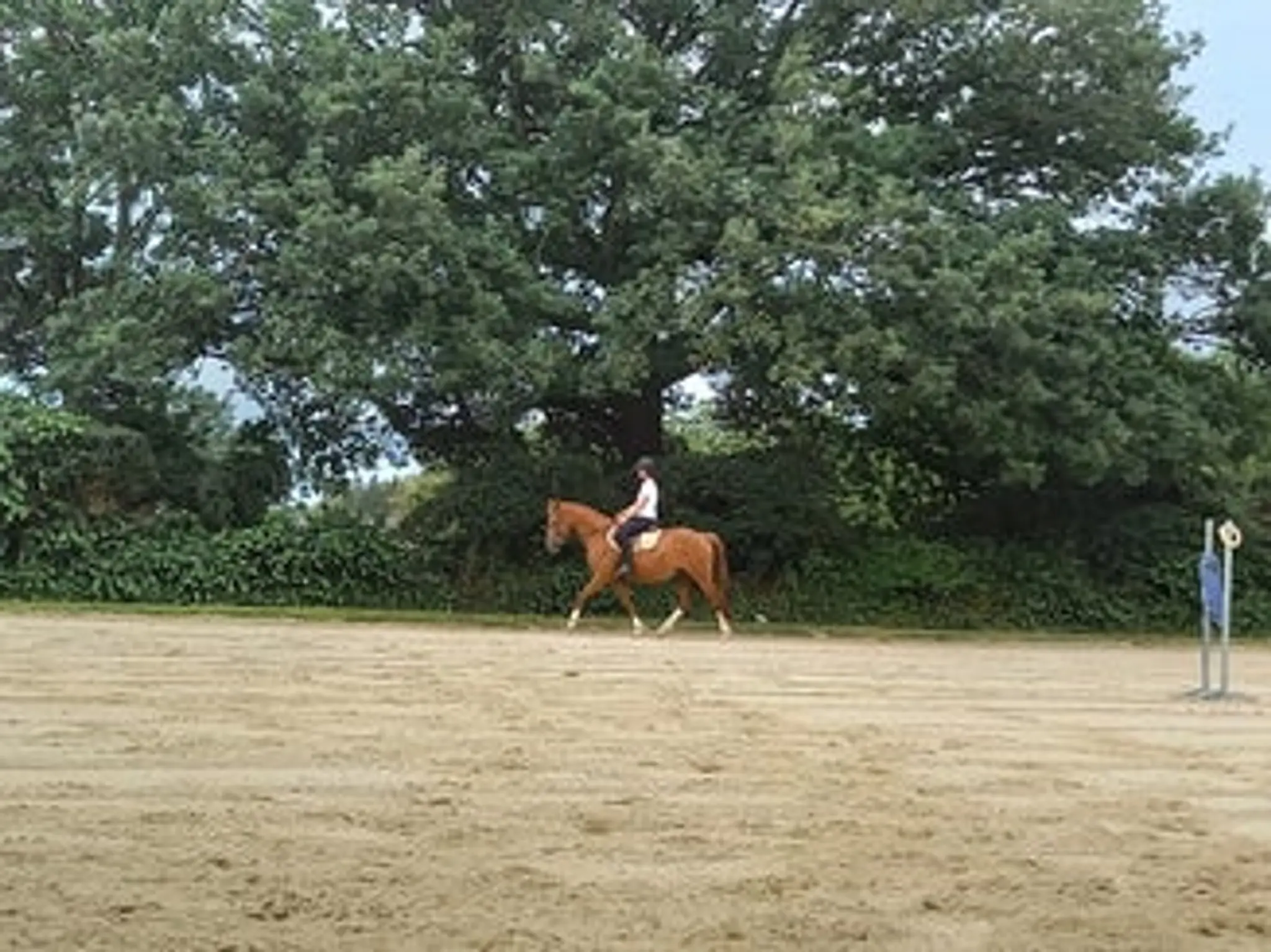 Horse Farm Du Grand Épinay