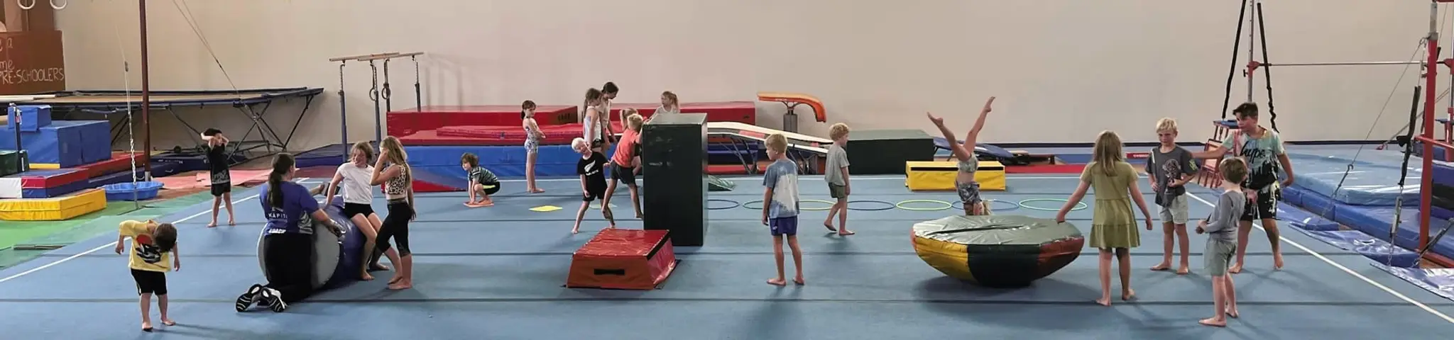 Kapiti Gymnastics Club
