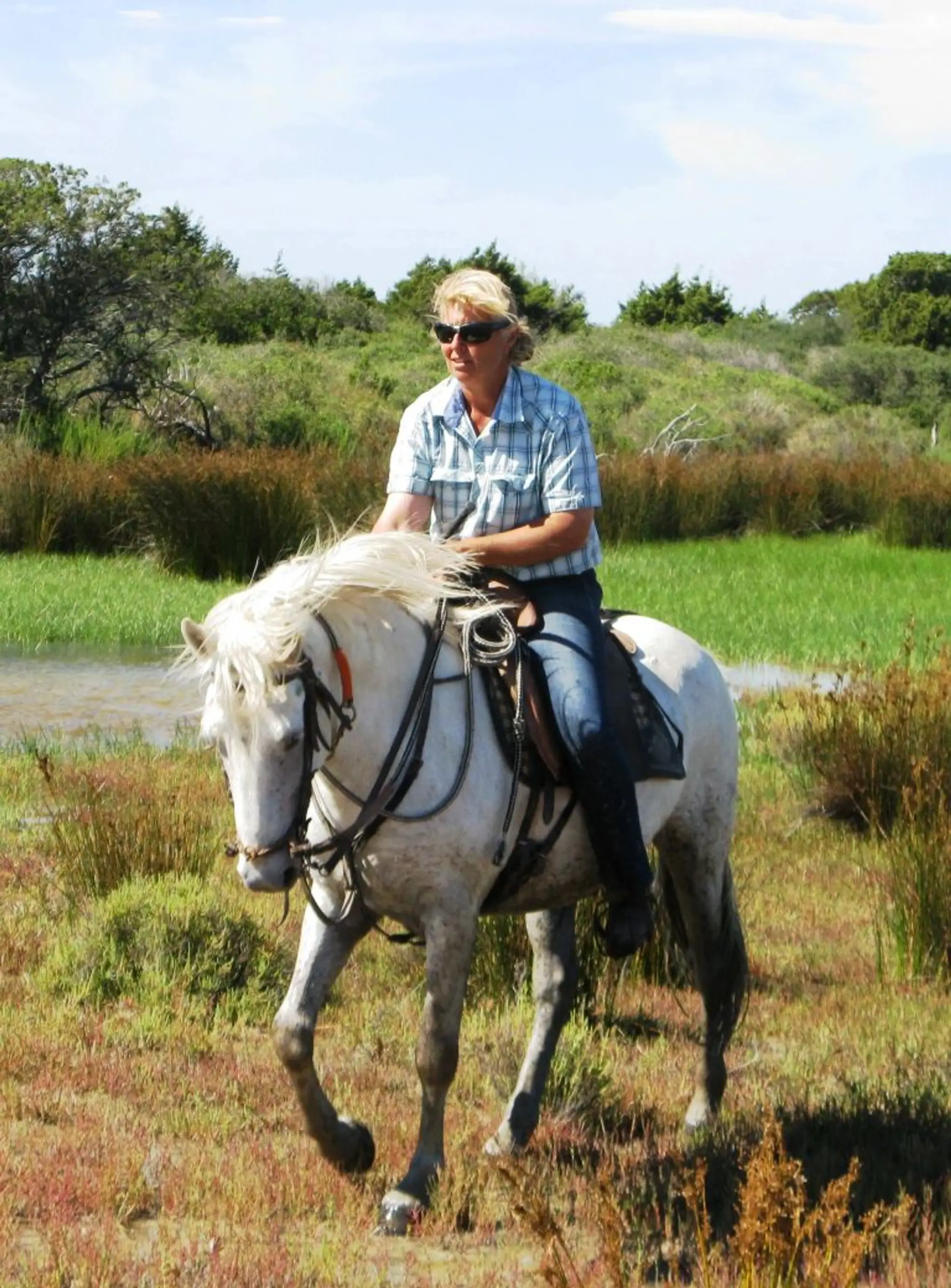 Promenade à cheval