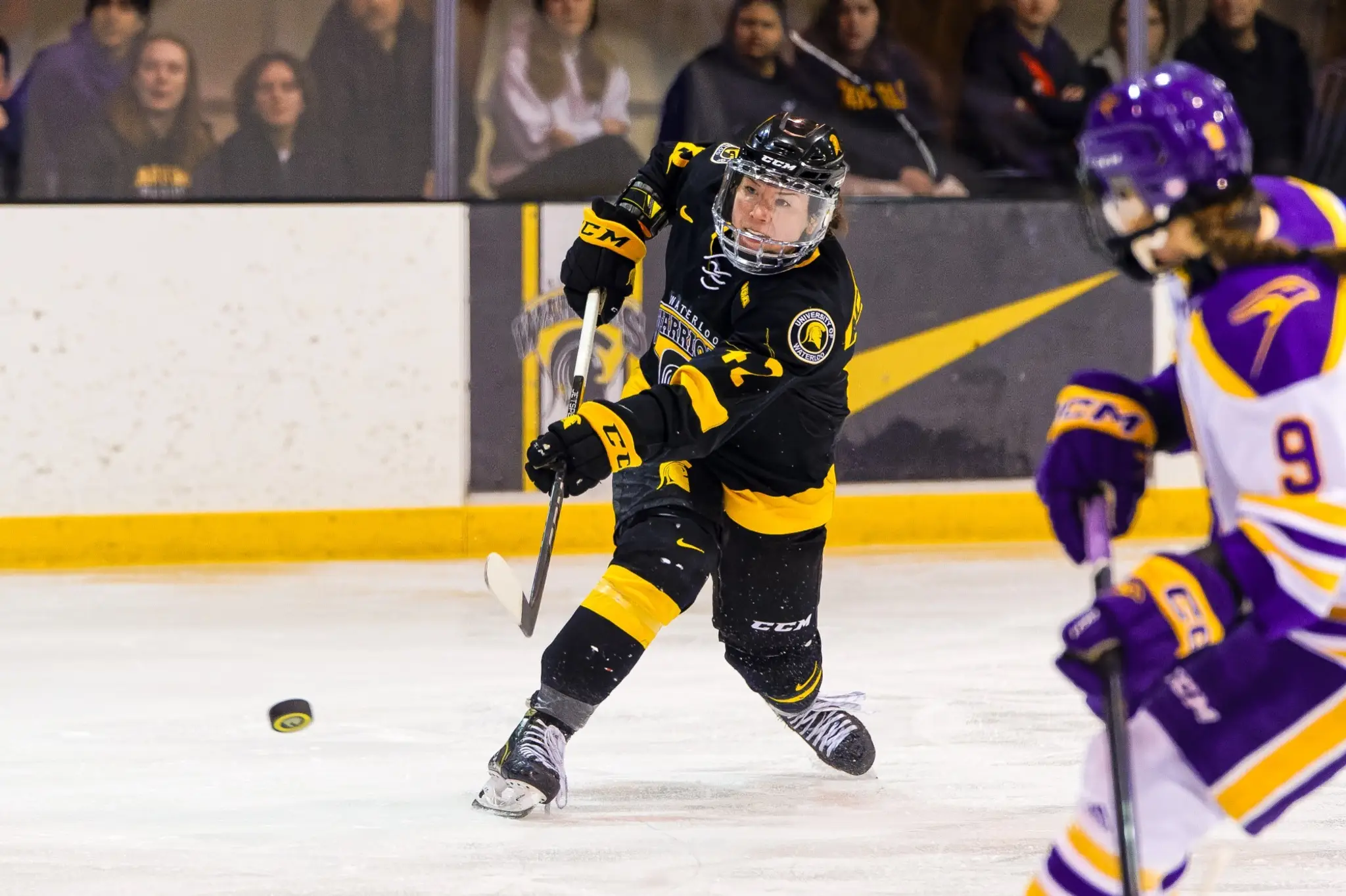 Columbia Icefield (CIF)