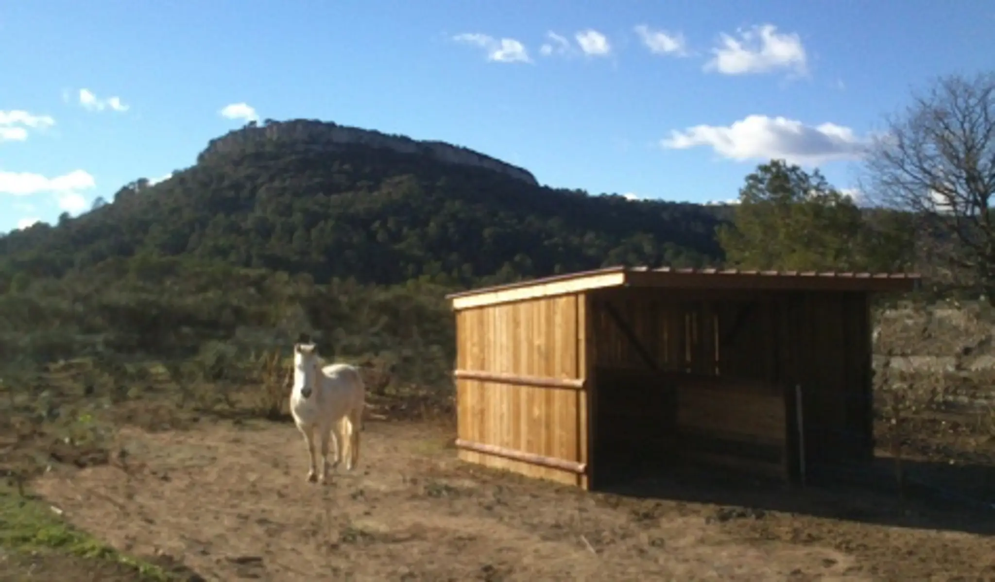 FERME EQUESTRE LES FARFADETS LAURET