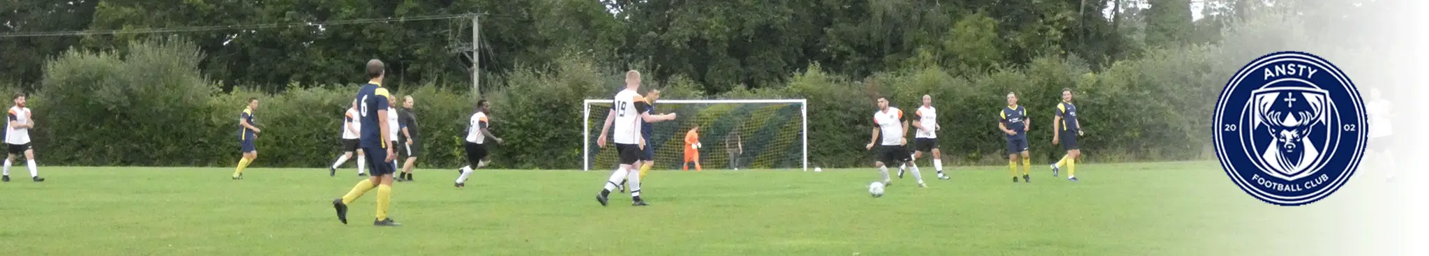 Ansty Football Club