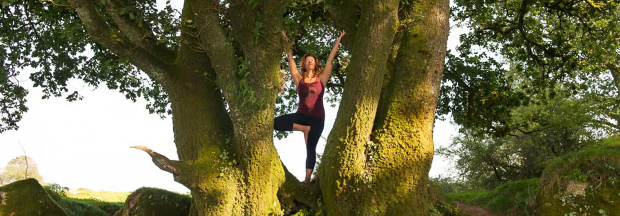 Love Yoga Tree with Natalie