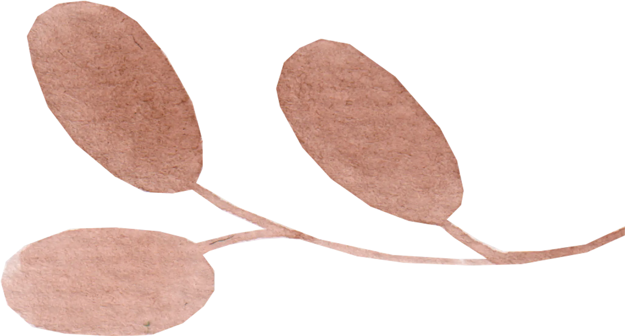 Naturopath Reflexologist - Mathilde Lagesse