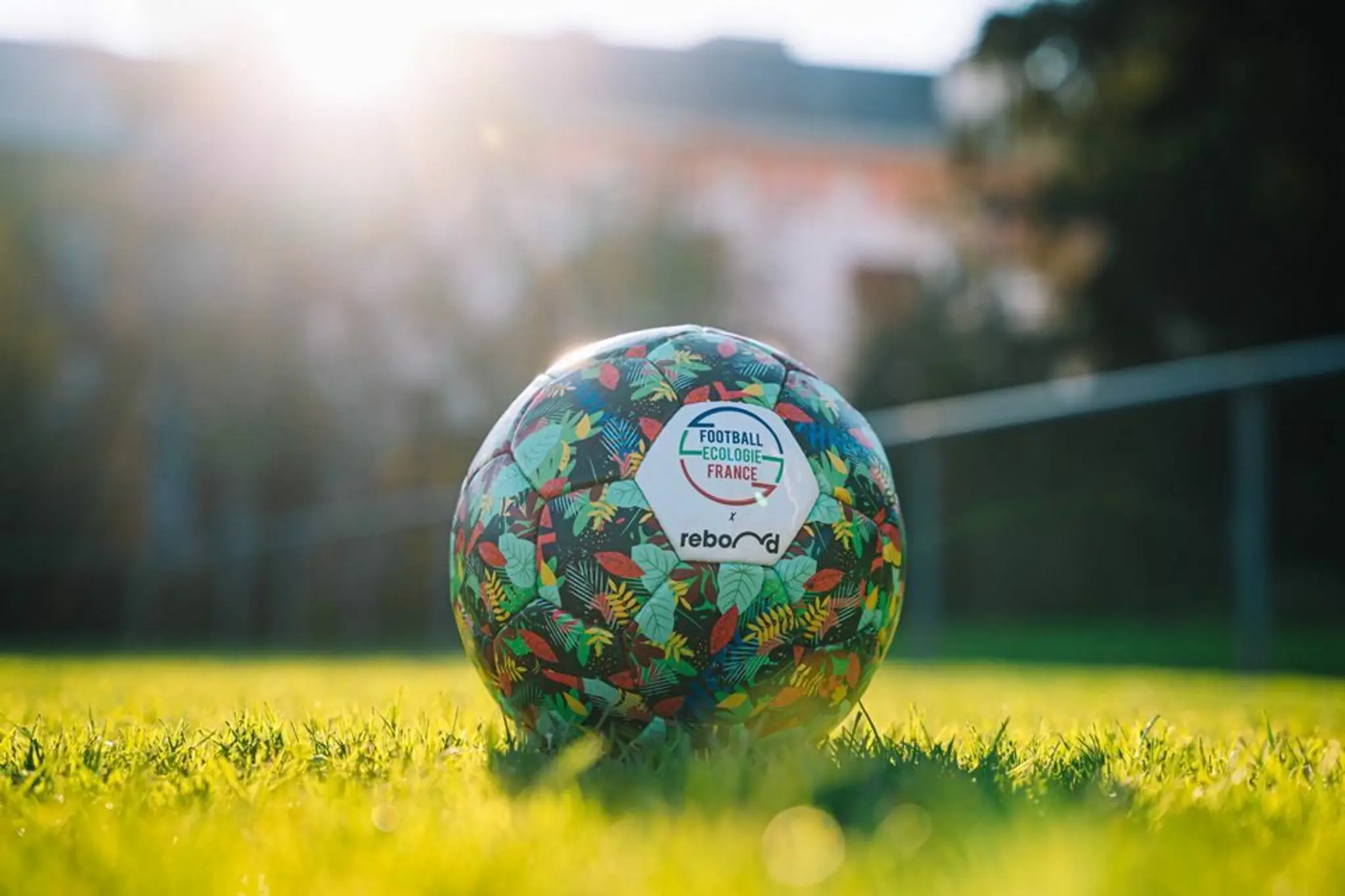 Dijon Université Club Maison des Sports-Campus Universitaire