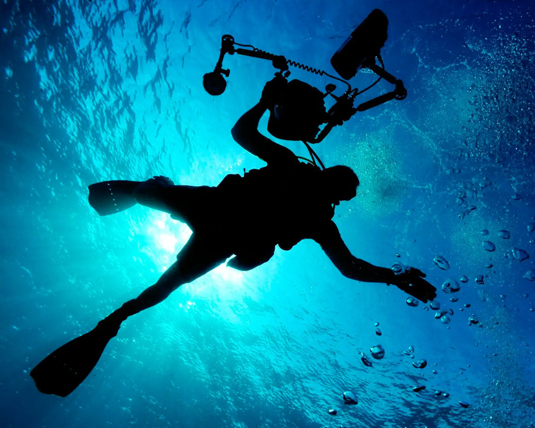 LE GORFOU DRAVEIL PLONGÉE