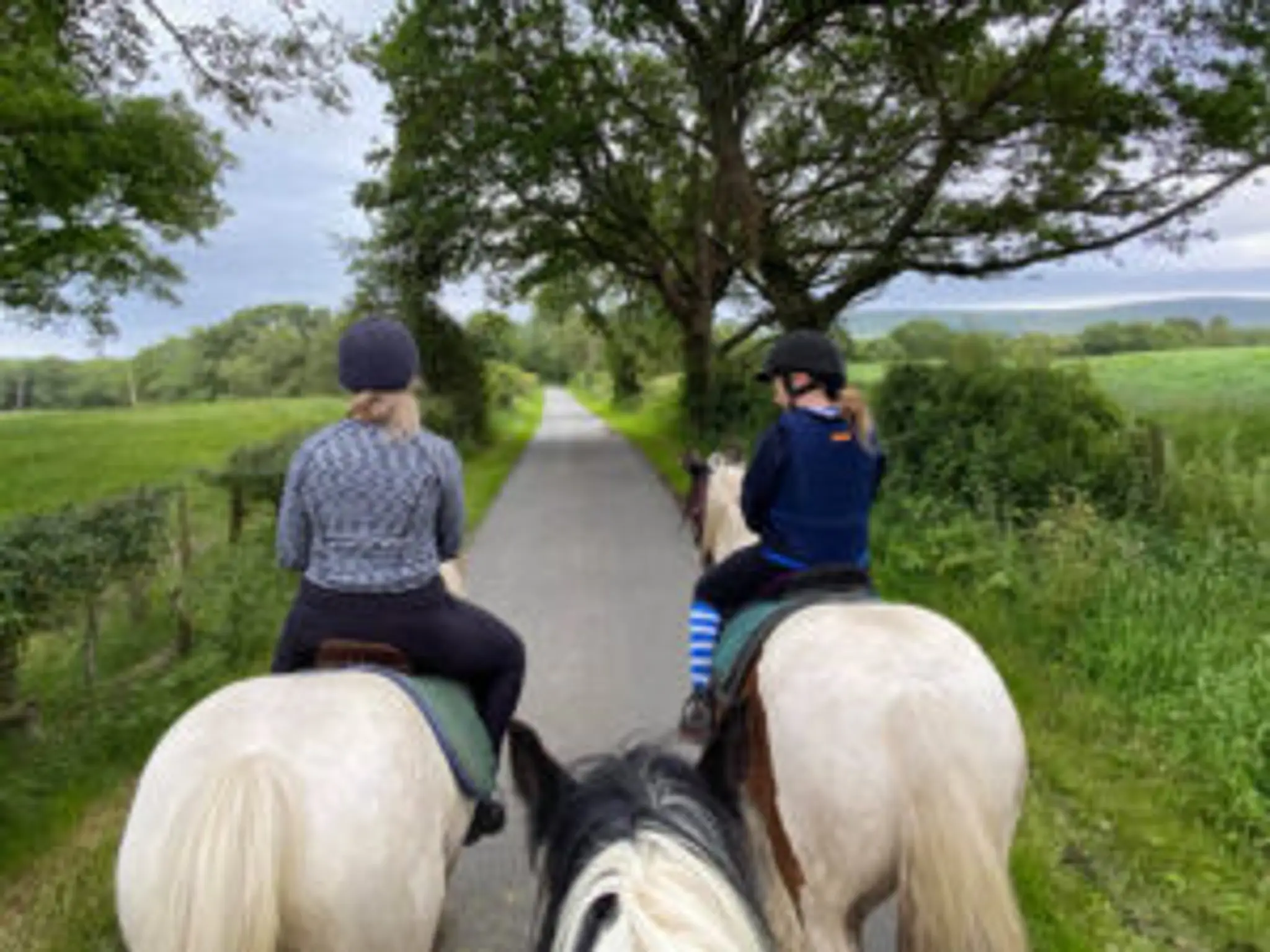 Braeden Pony Trekking Centre