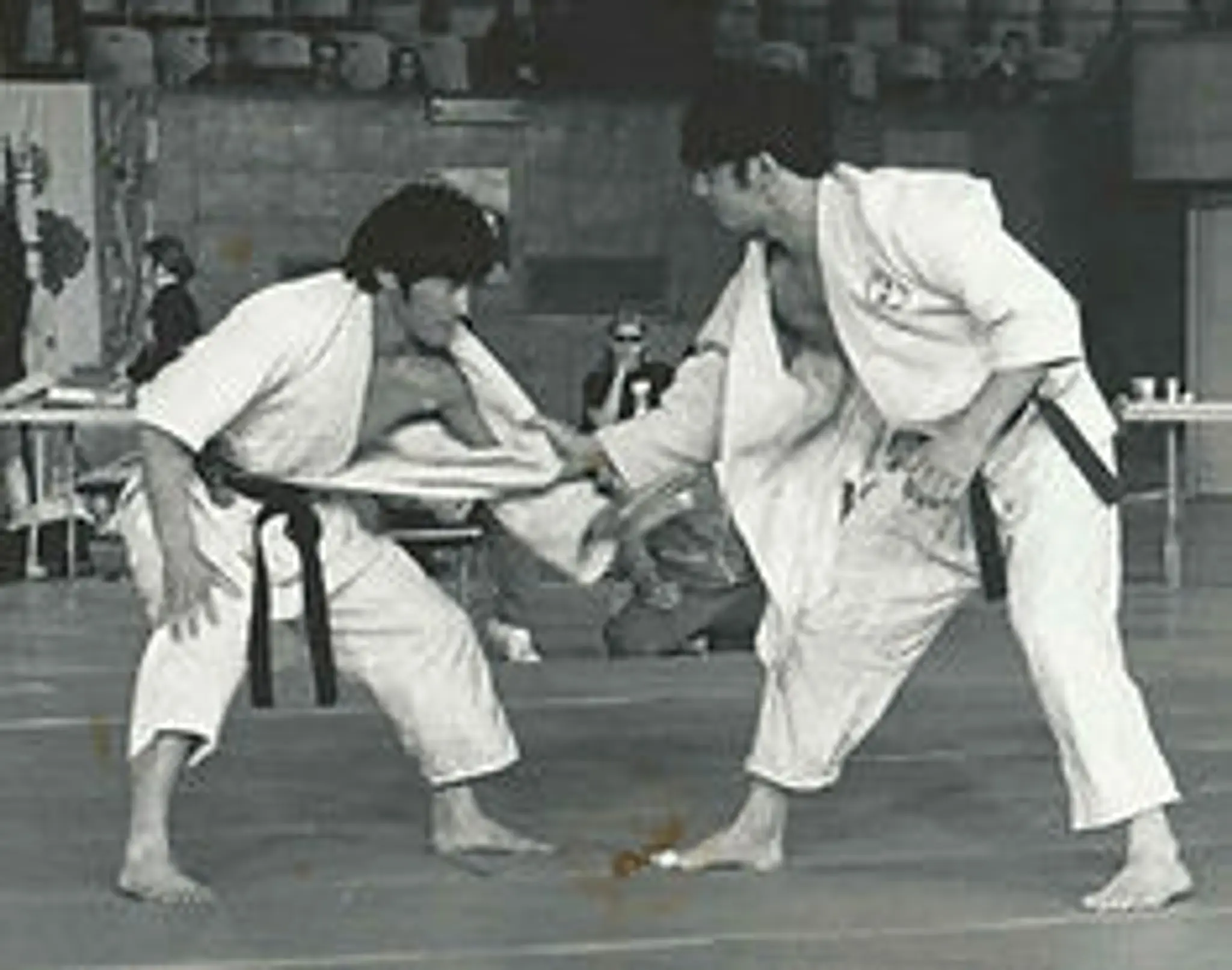 Kawasaki Rendokan Judo Academy