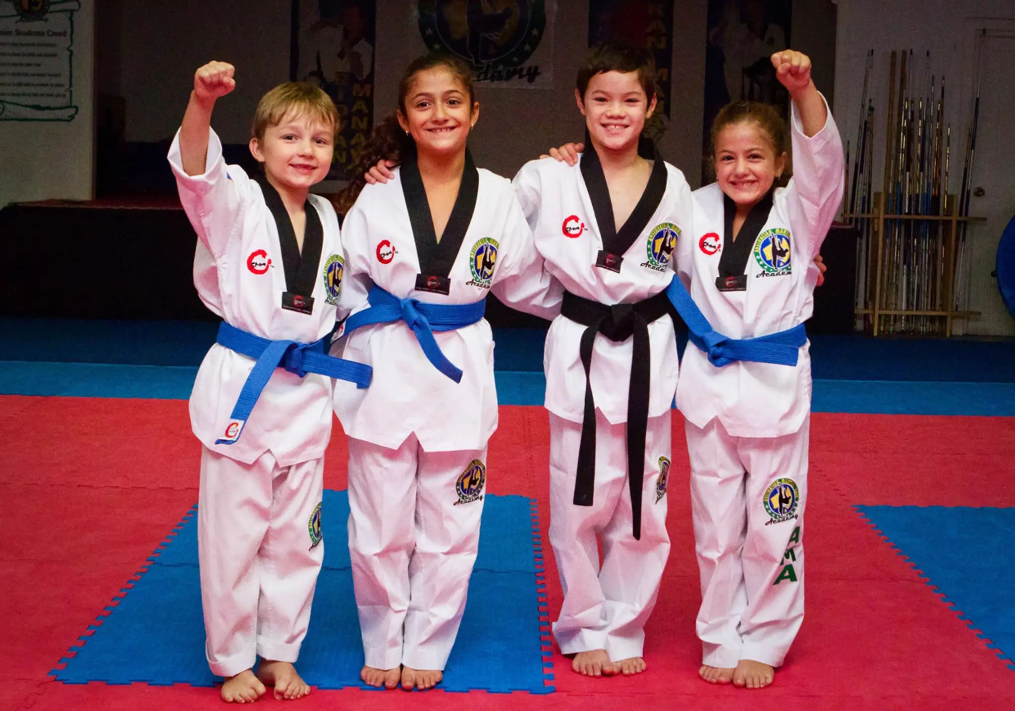 Australian Martial Arts Academy Concord