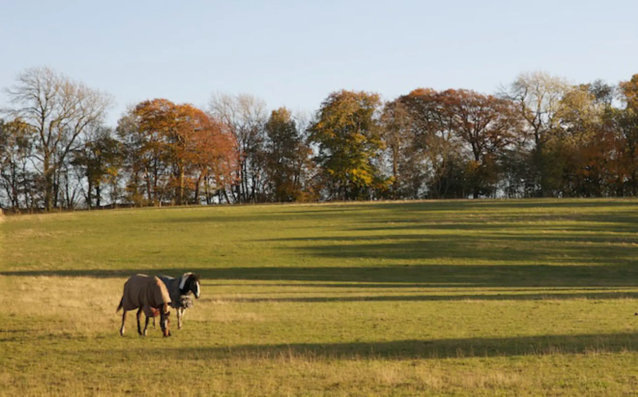 Thornton Livery near Edinburgh