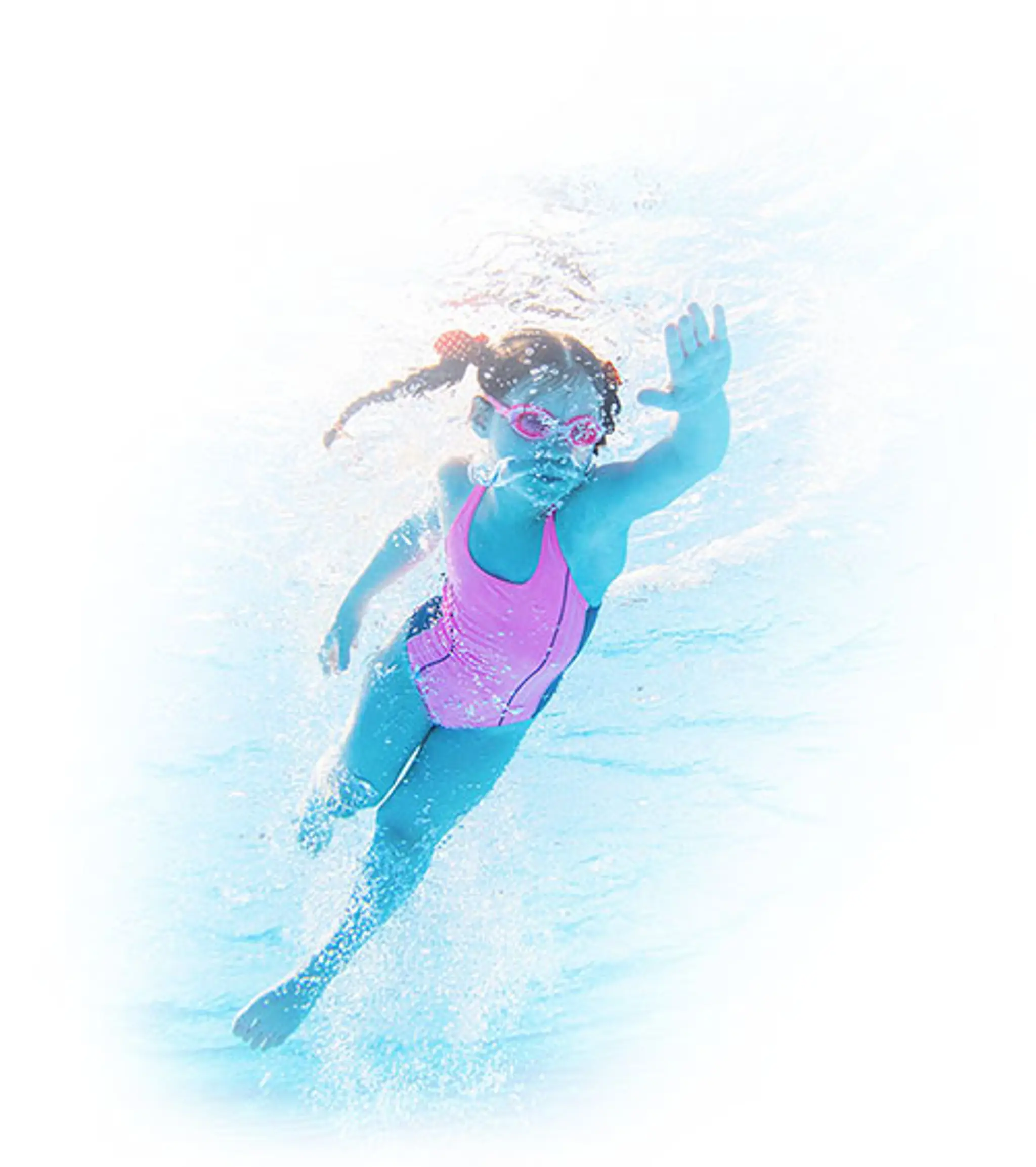 Ducklings and Dolphins - Bradford