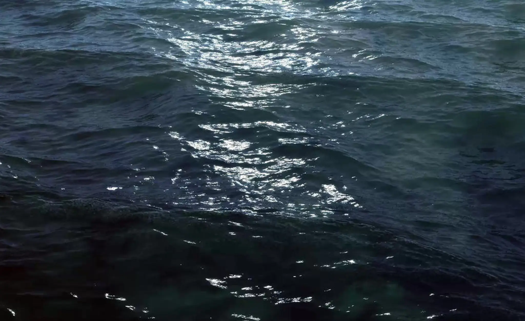 FLYFISHING INSTRUCTION