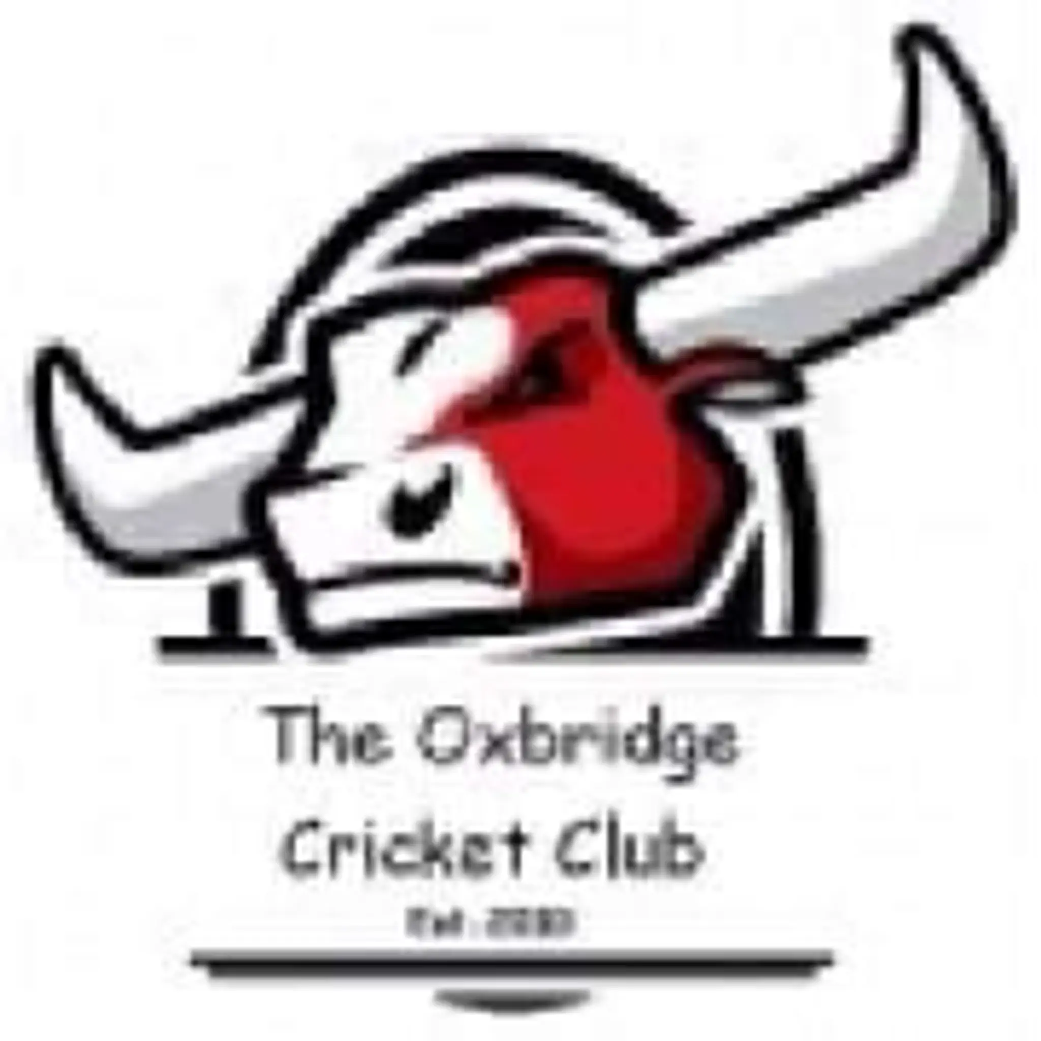 East Cowton Cricket Club