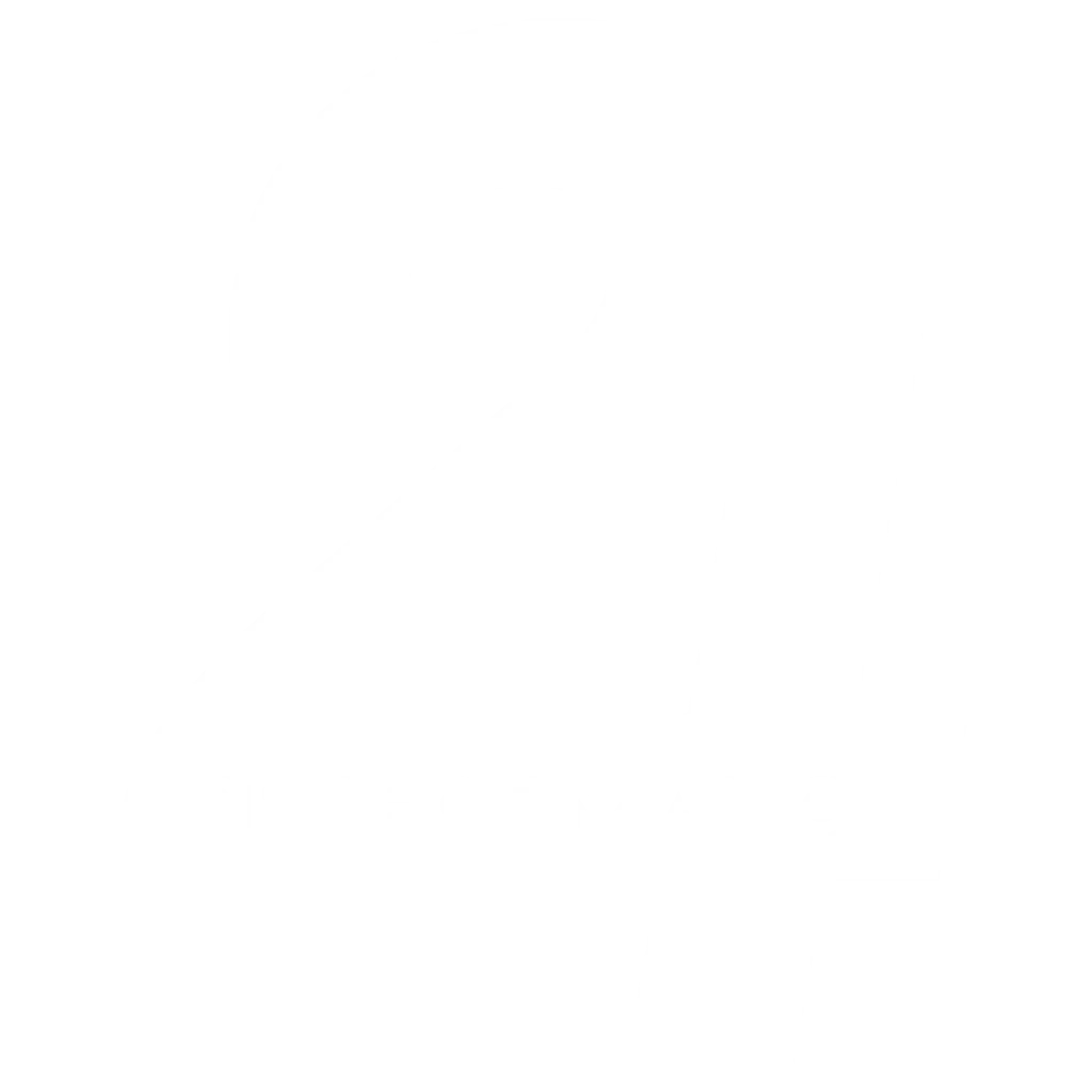 Performance 24