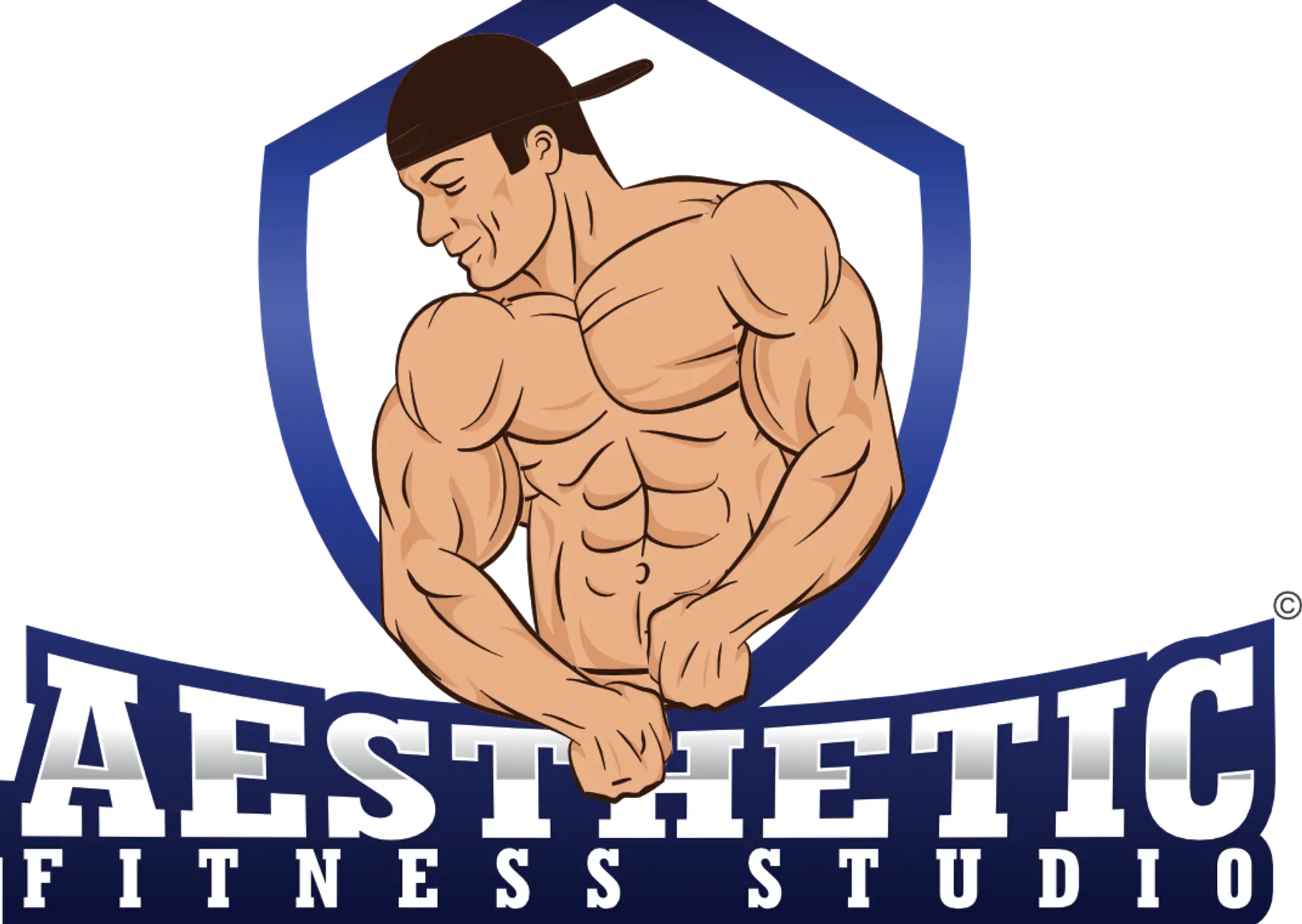 Aesthetic Fitness Studio