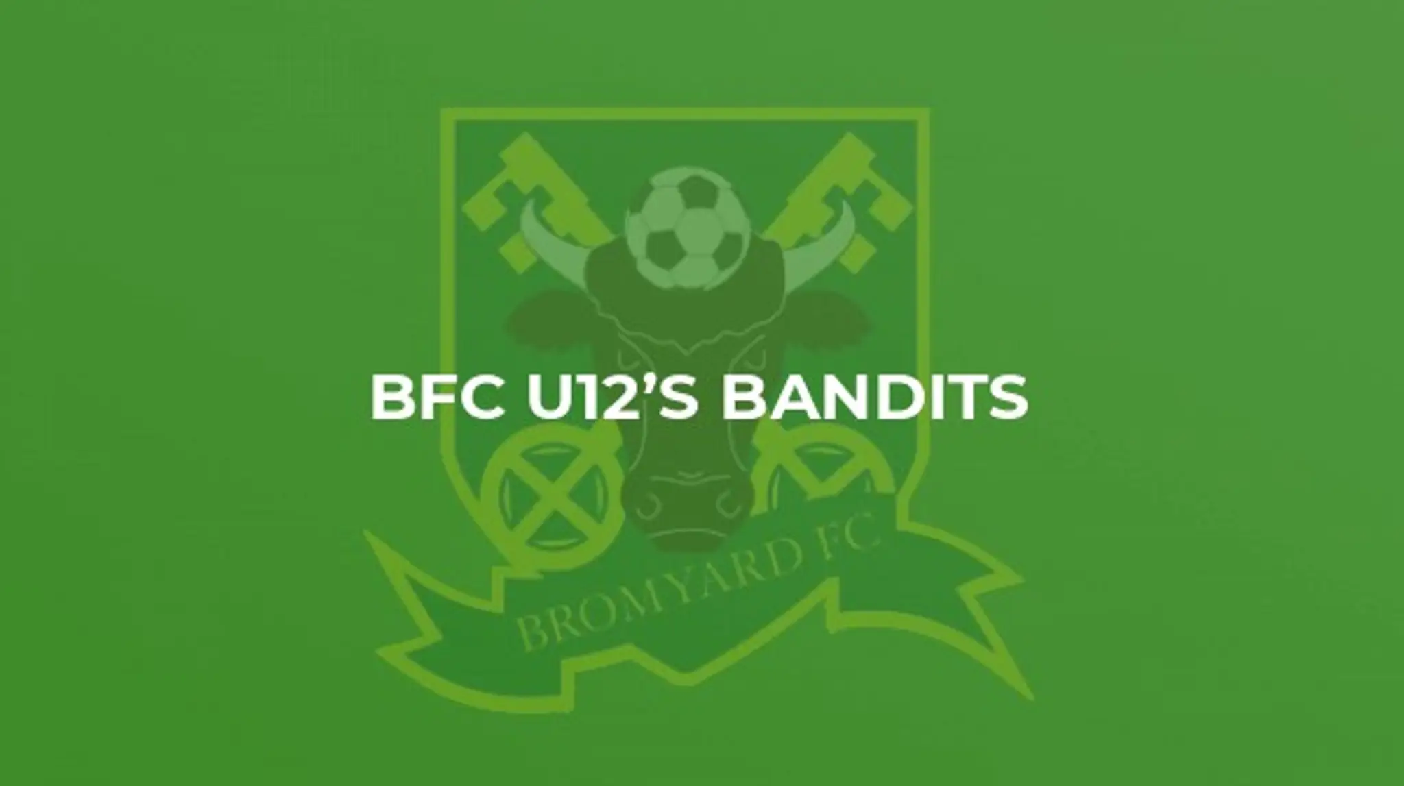 Bromyard Town Football Club, Delahay Meadow