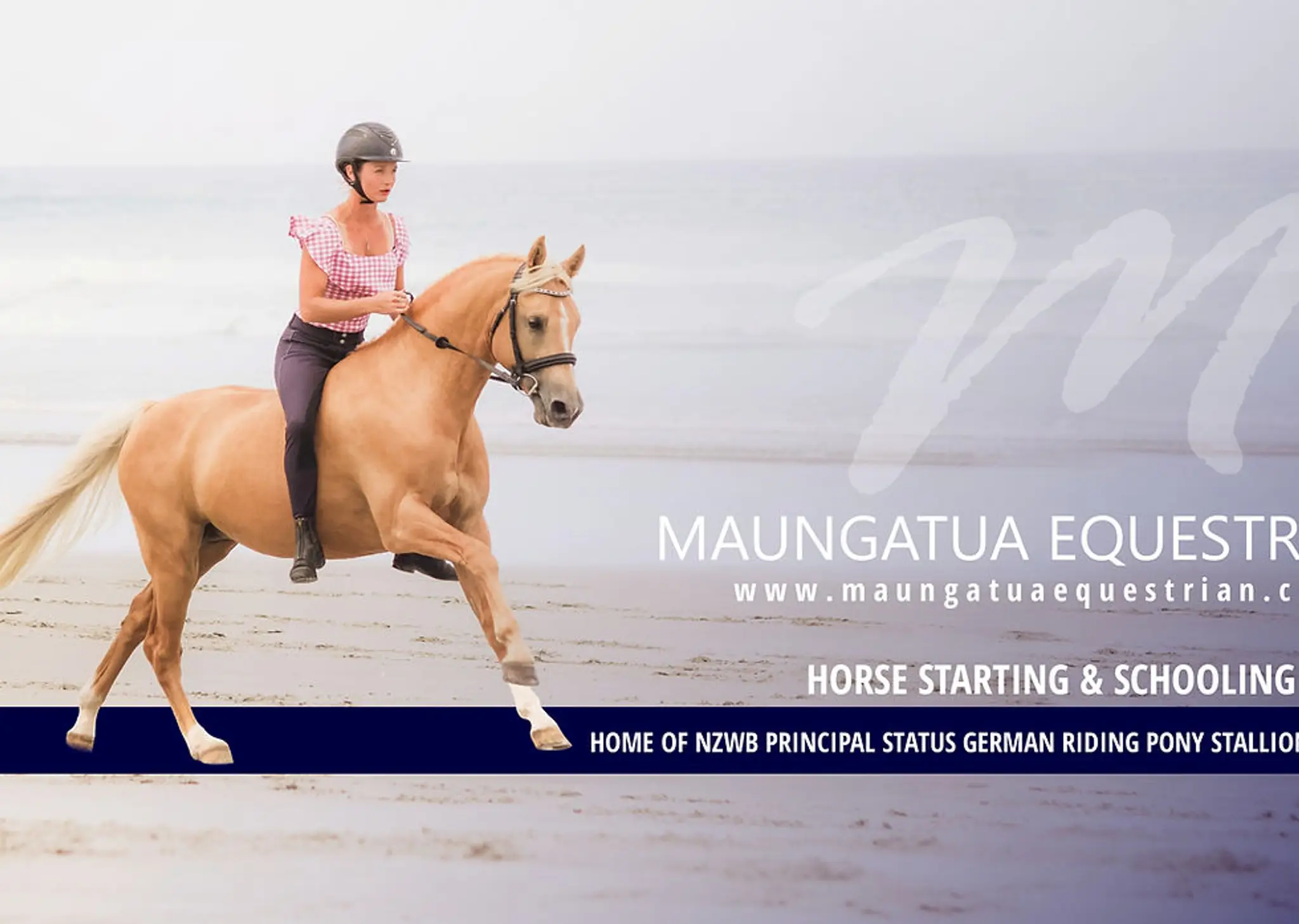 Maungatua Equestrian