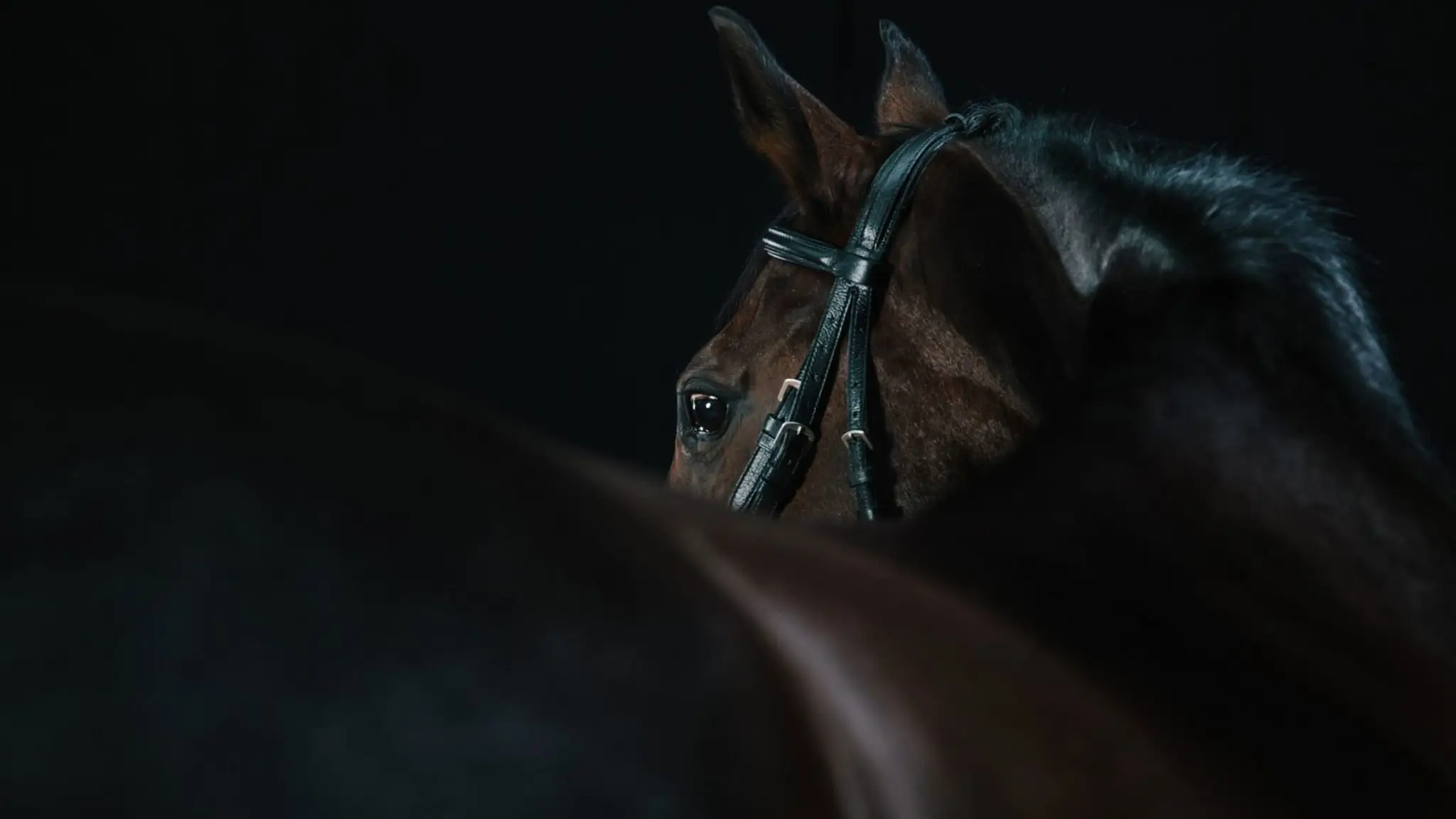 Parbold Equestrian Centre