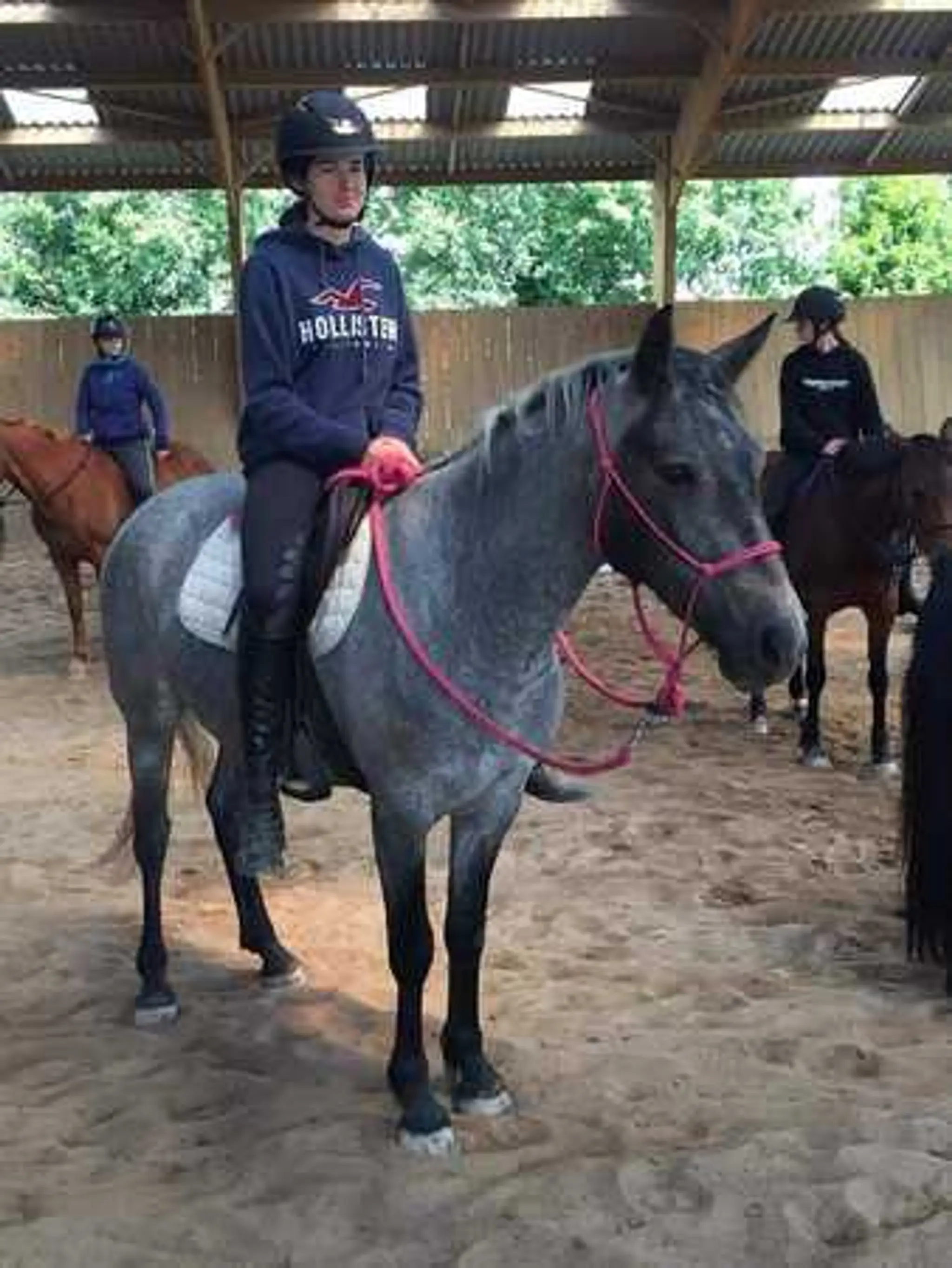 PONEY CLUB DE LA PIERRE BLEUE