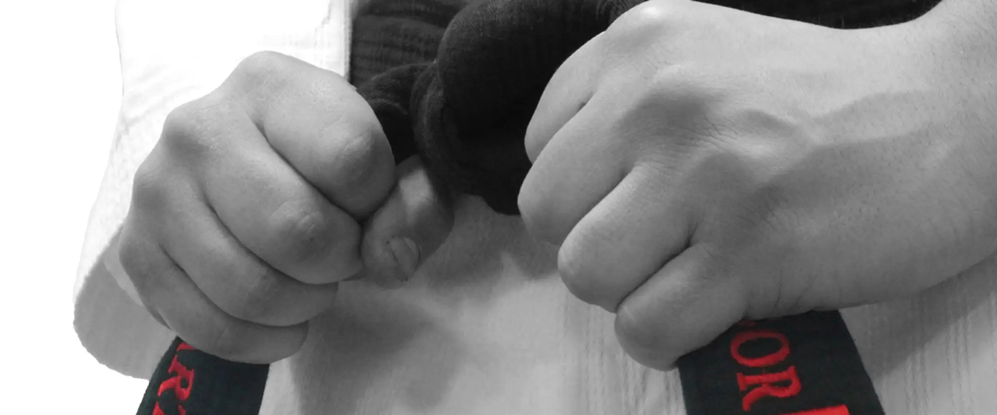 Spartan Taekwondo Academy