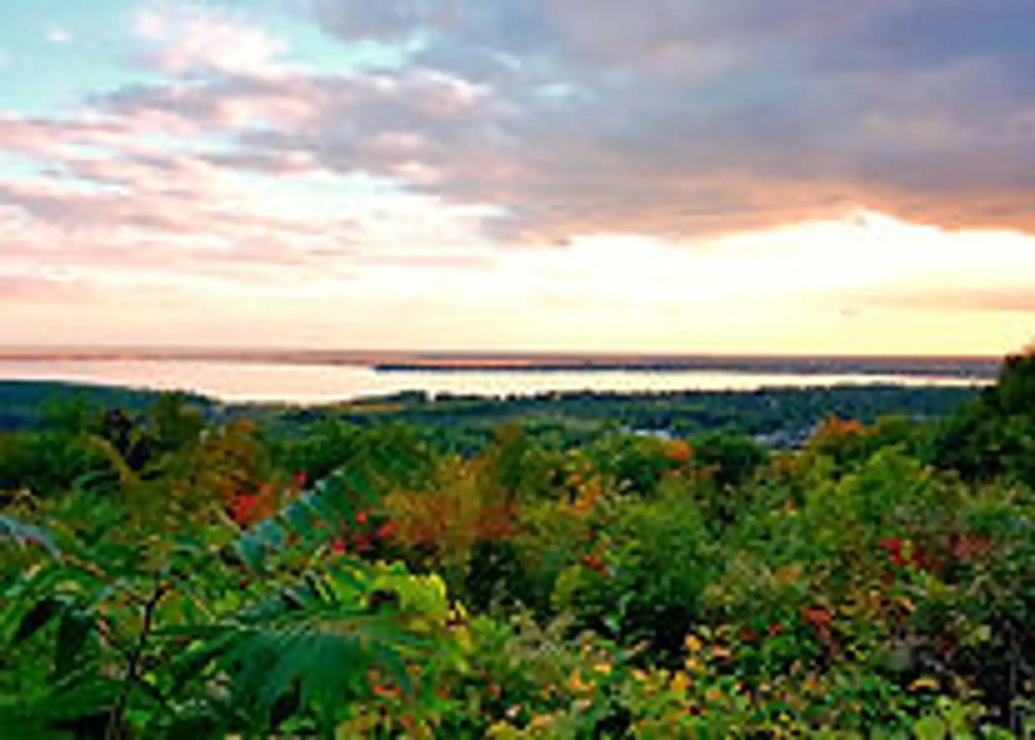 Studio de Concept Enidanse